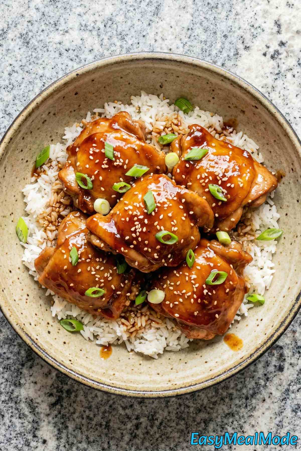 Savory Instant Pot honey garlic chicken