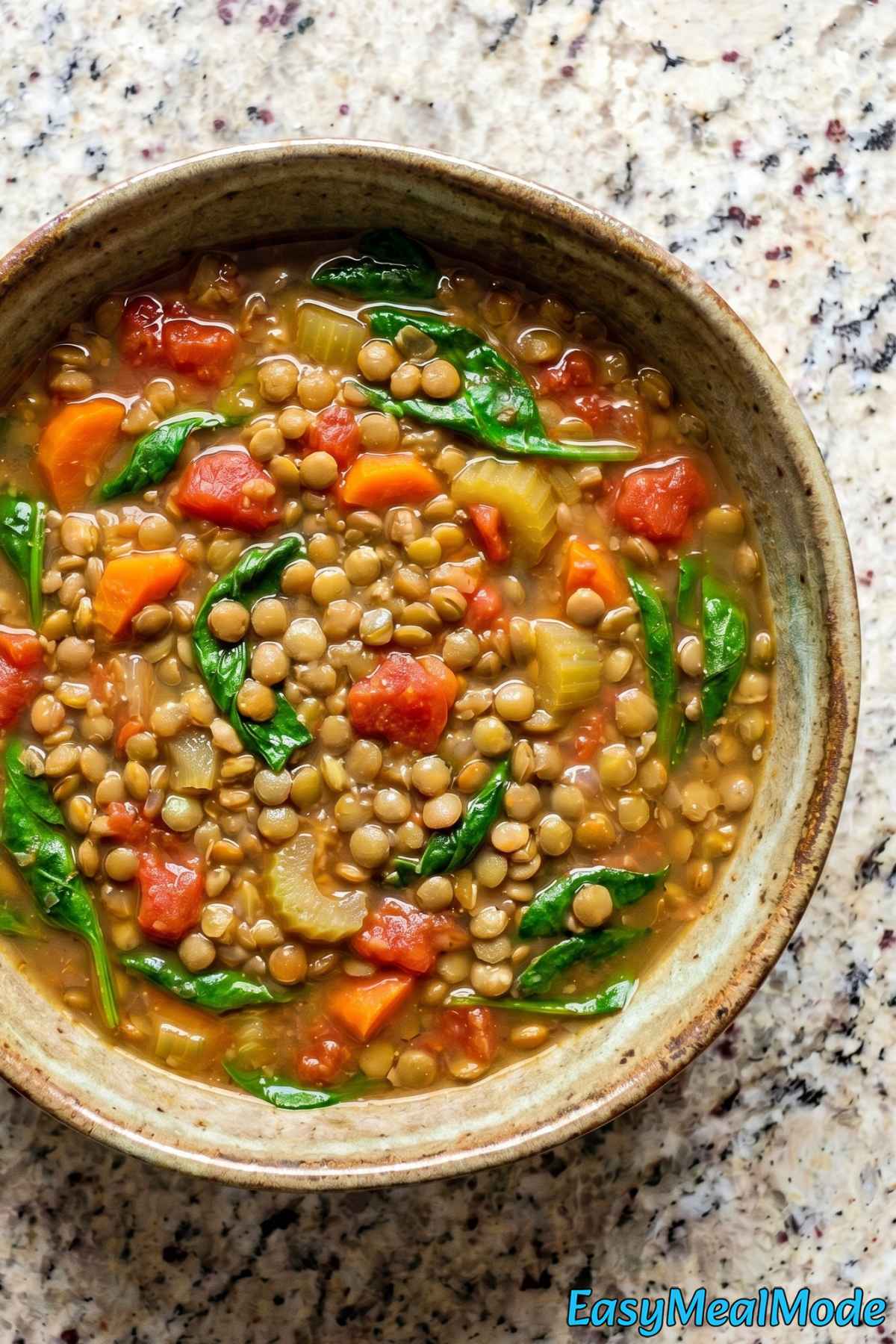 Savory Instant Pot lentil soup close-up