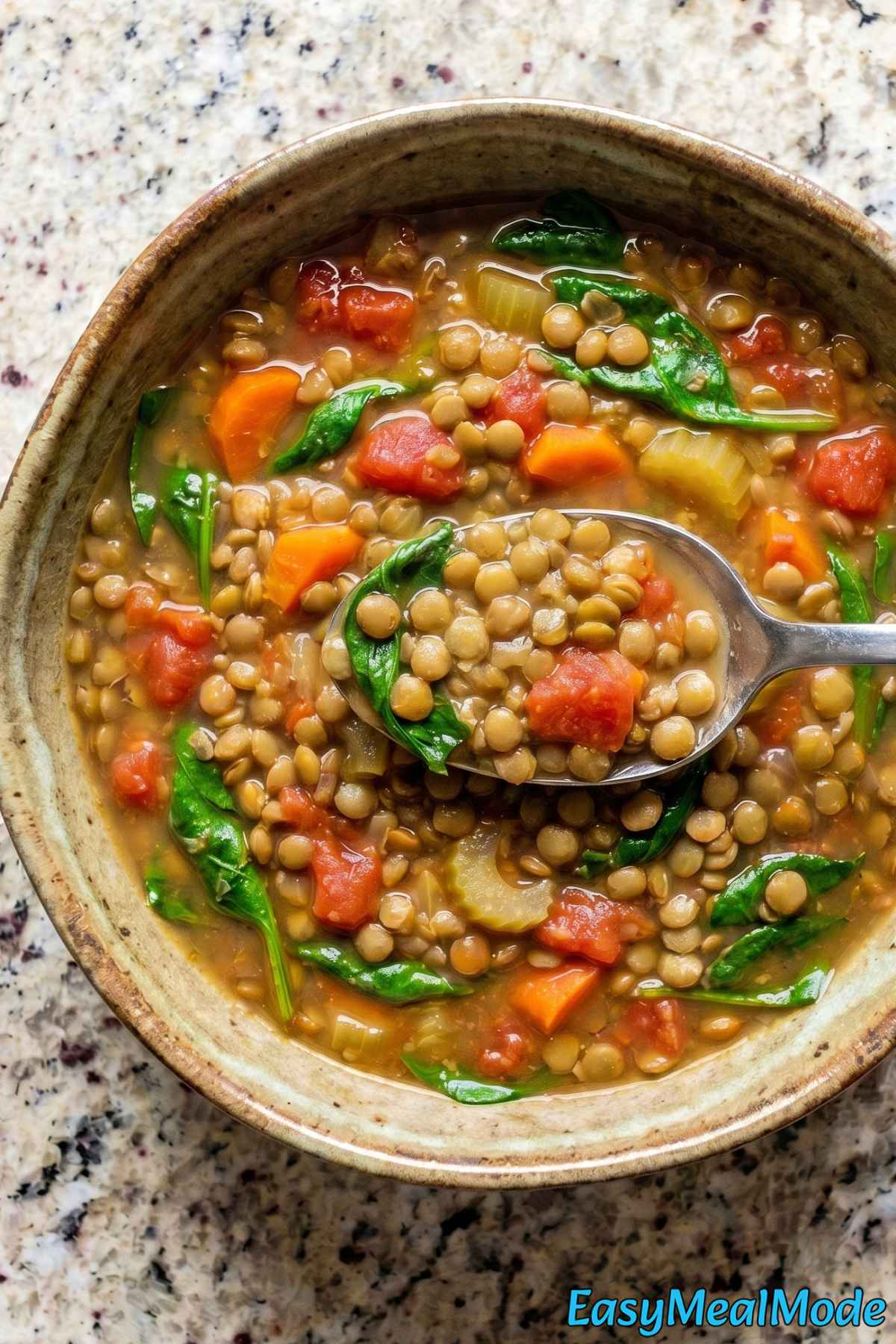 Wholesome Instant Pot lentil soup dish