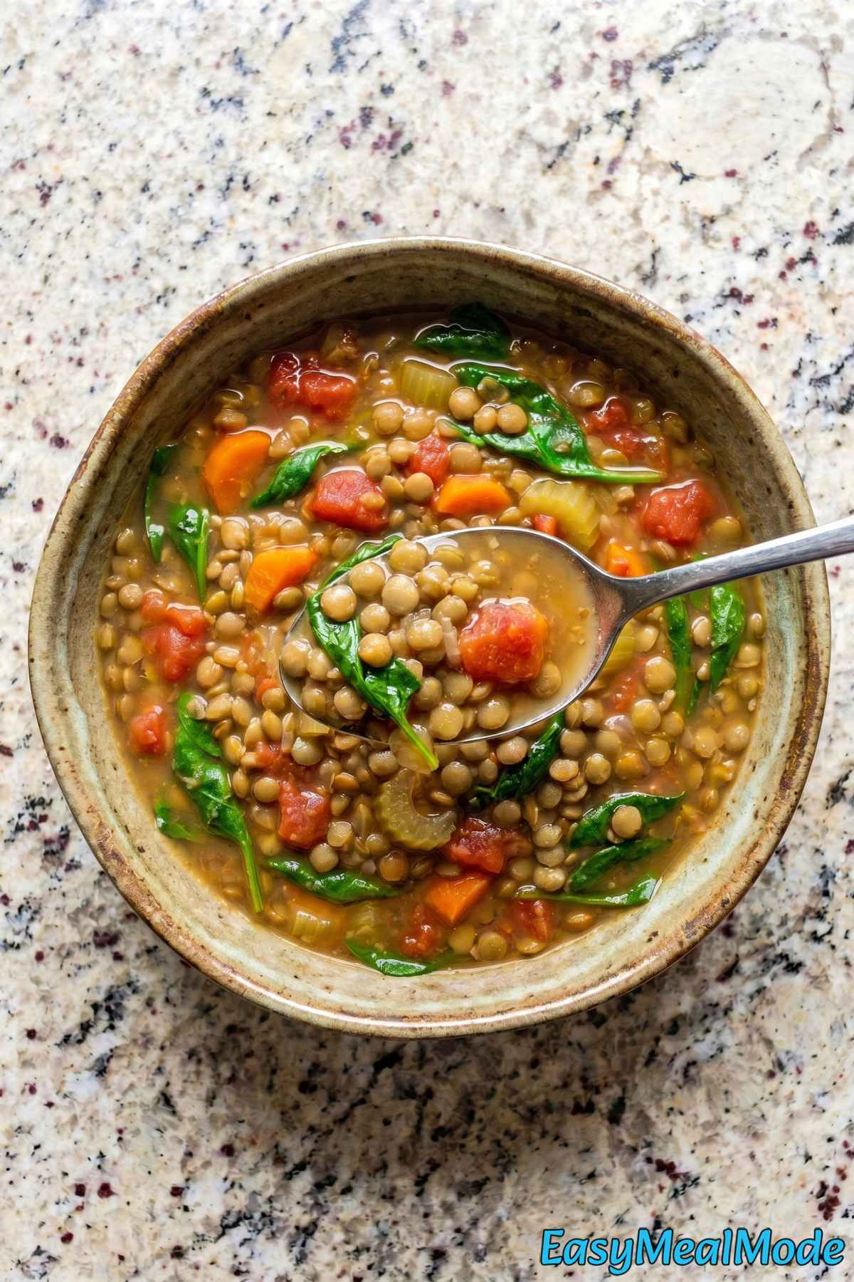 Nourishing Instant Pot lentil soup recipe