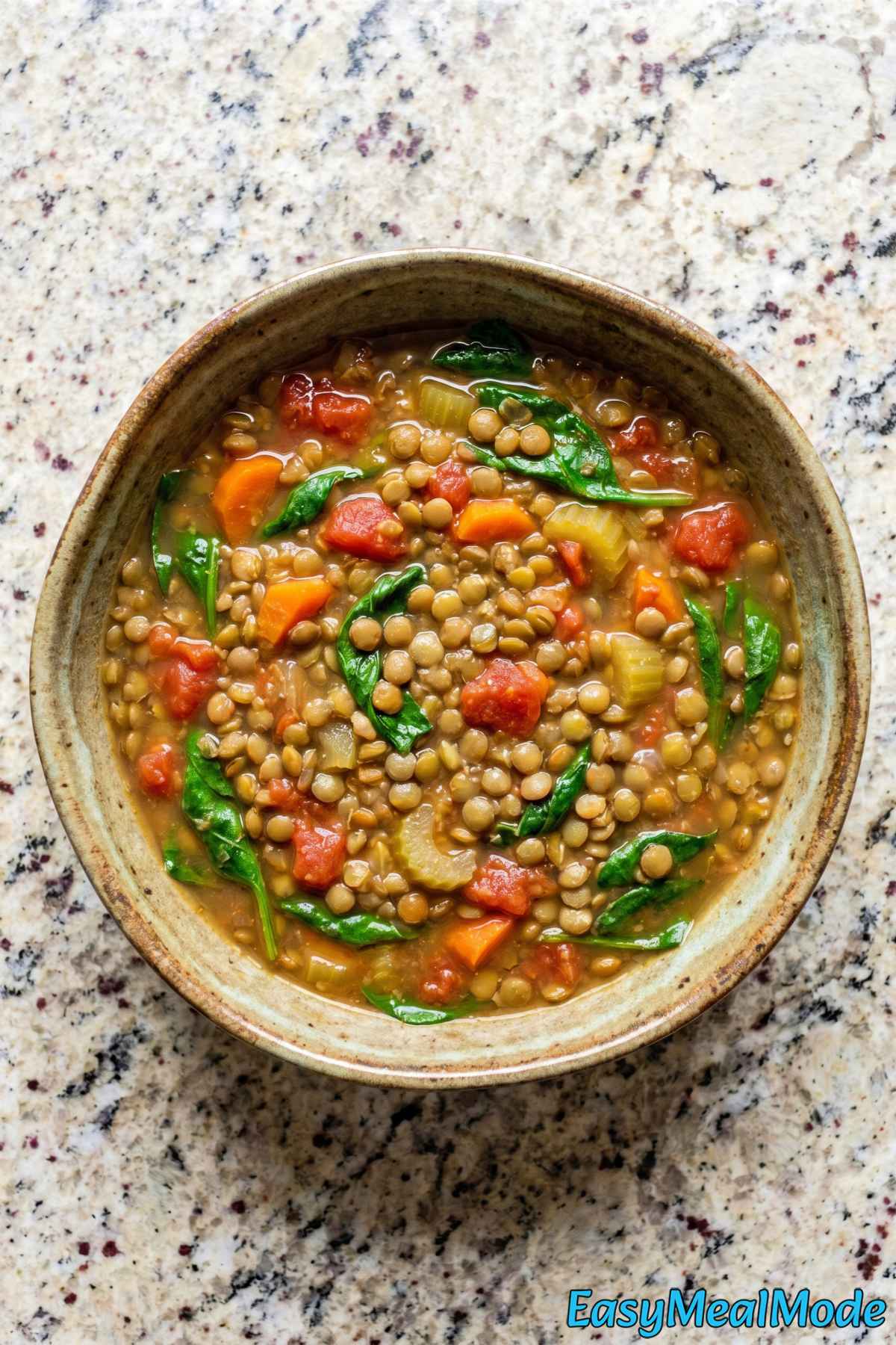 Easy Instant Pot lentil soup in a bowl