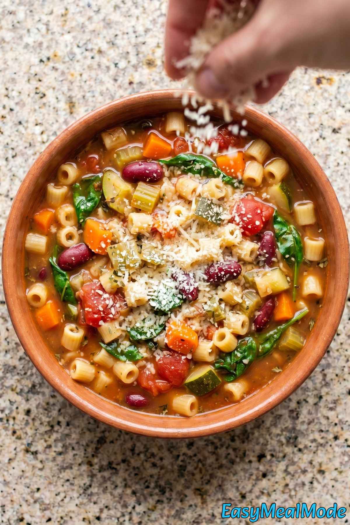 Easy Instant Pot Minestrone Soup