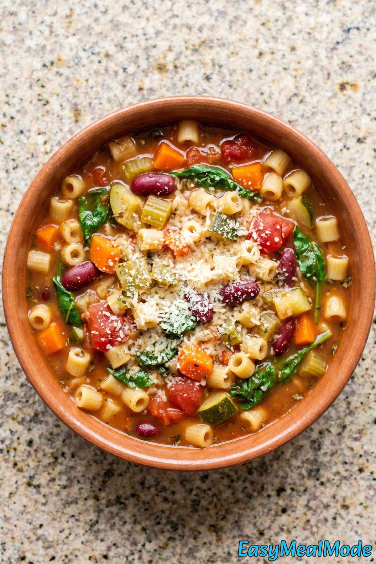 Savory Instant Pot Minestrone Soup