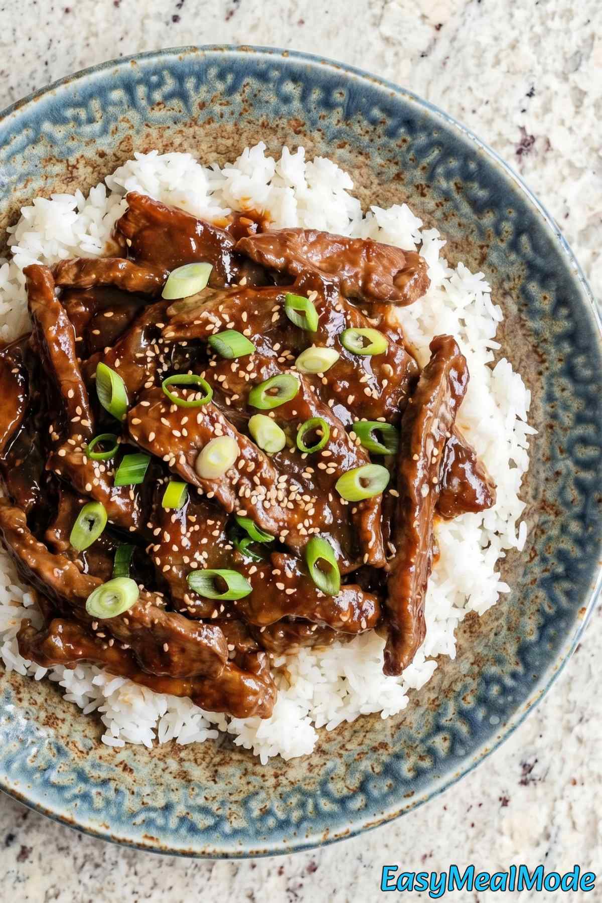 Saucy Instant Pot Mongolian Beef close-up