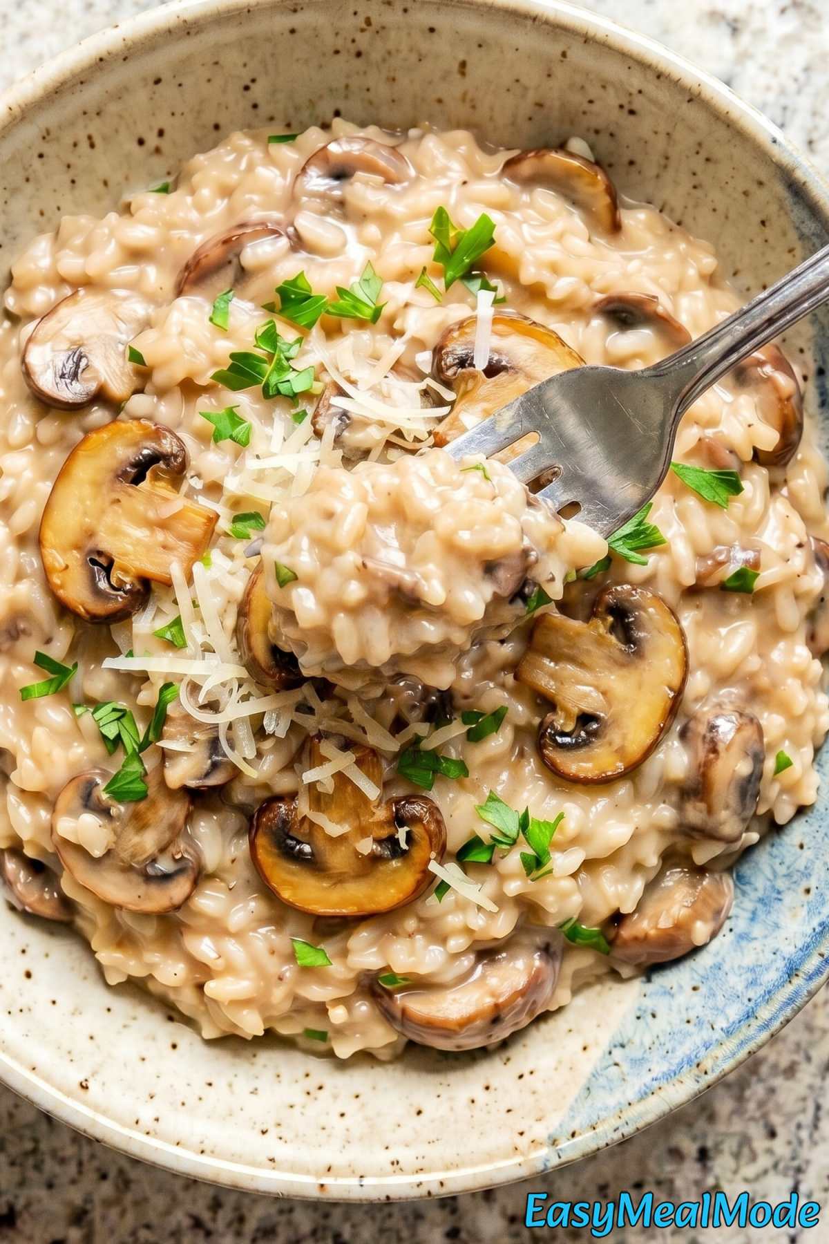 Easy Instant Pot Mushroom Risotto
