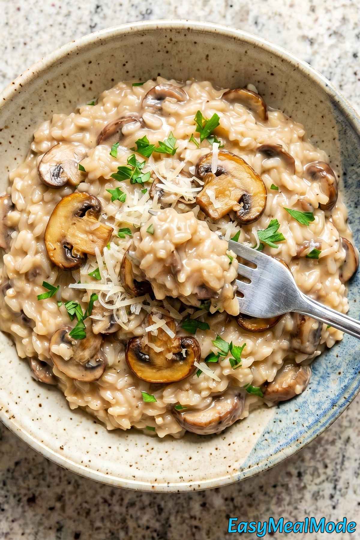 Comforting Instant Pot Mushroom Risotto