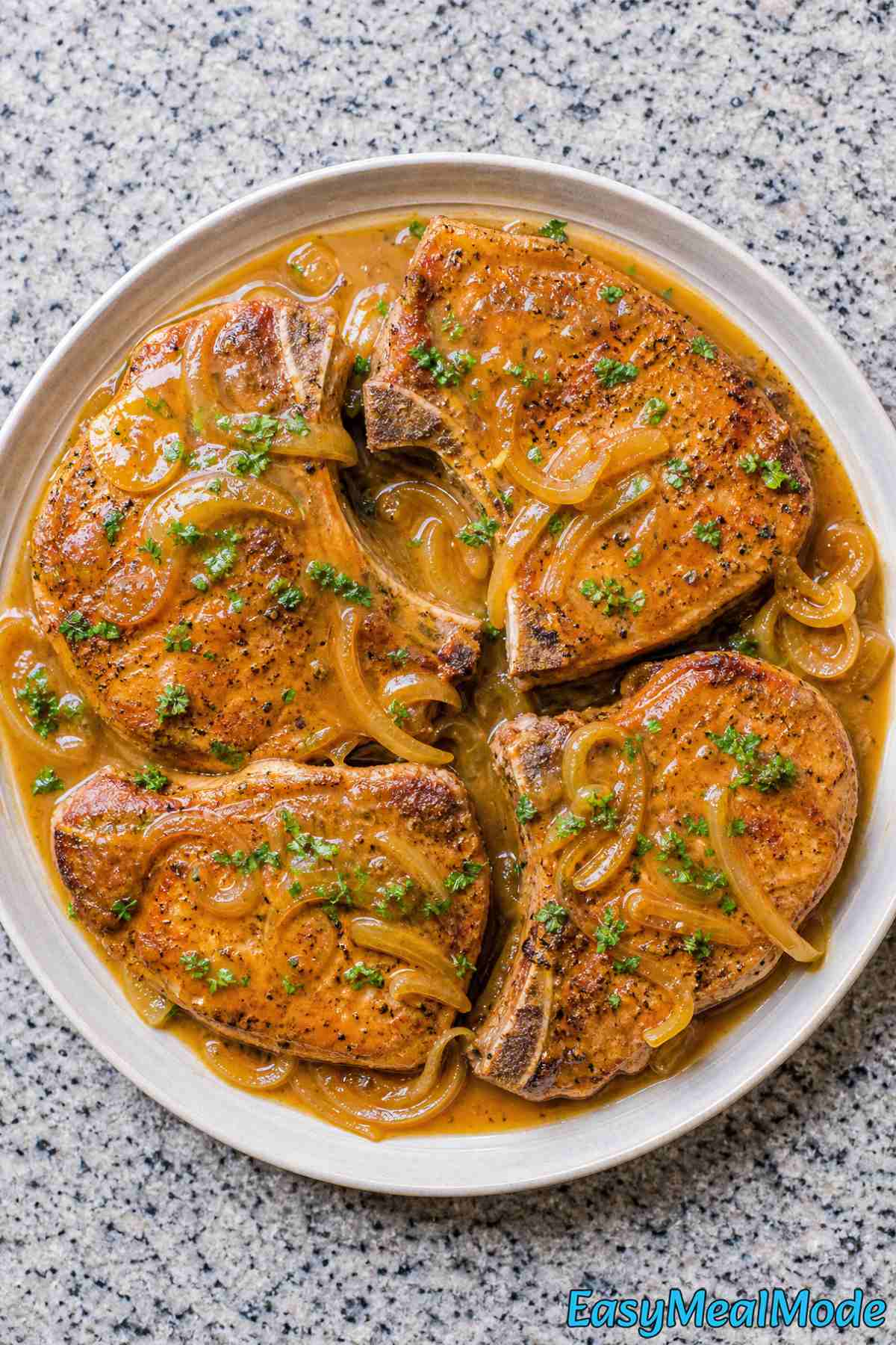 Savory Instant Pot pork chops close-up