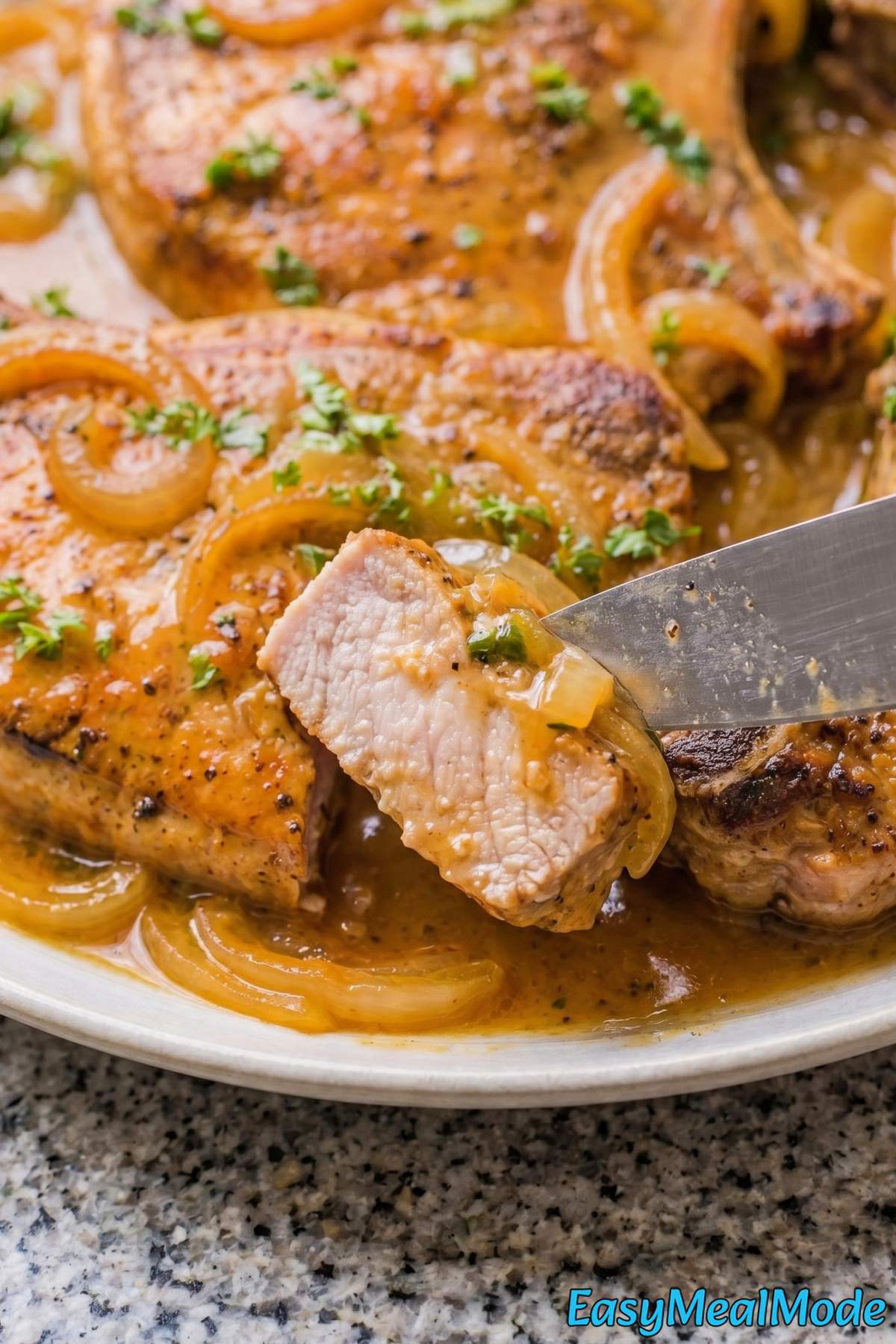 Easy Instant Pot pork chops served warm