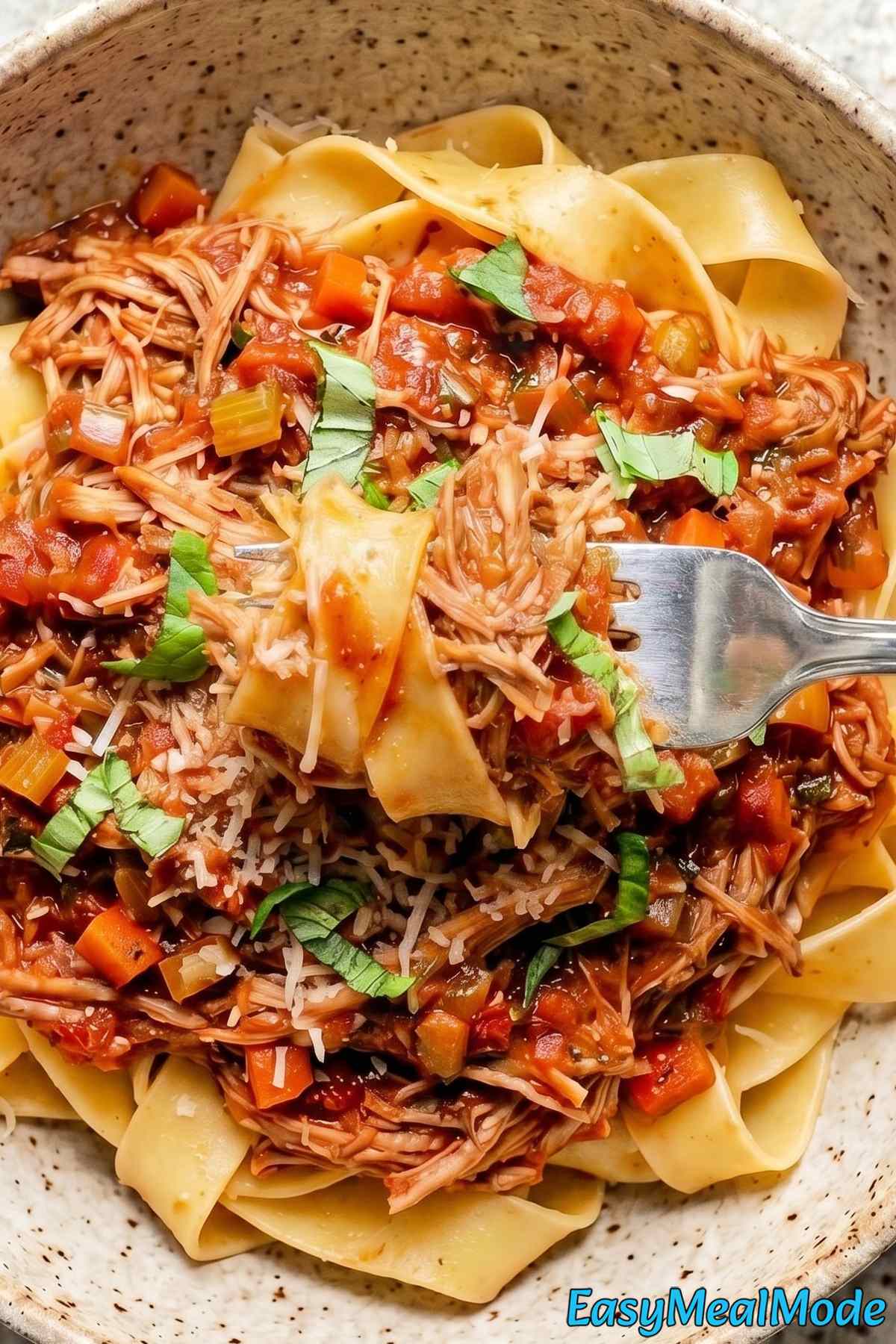 Easy Instant Pot Pork Ragu served warm