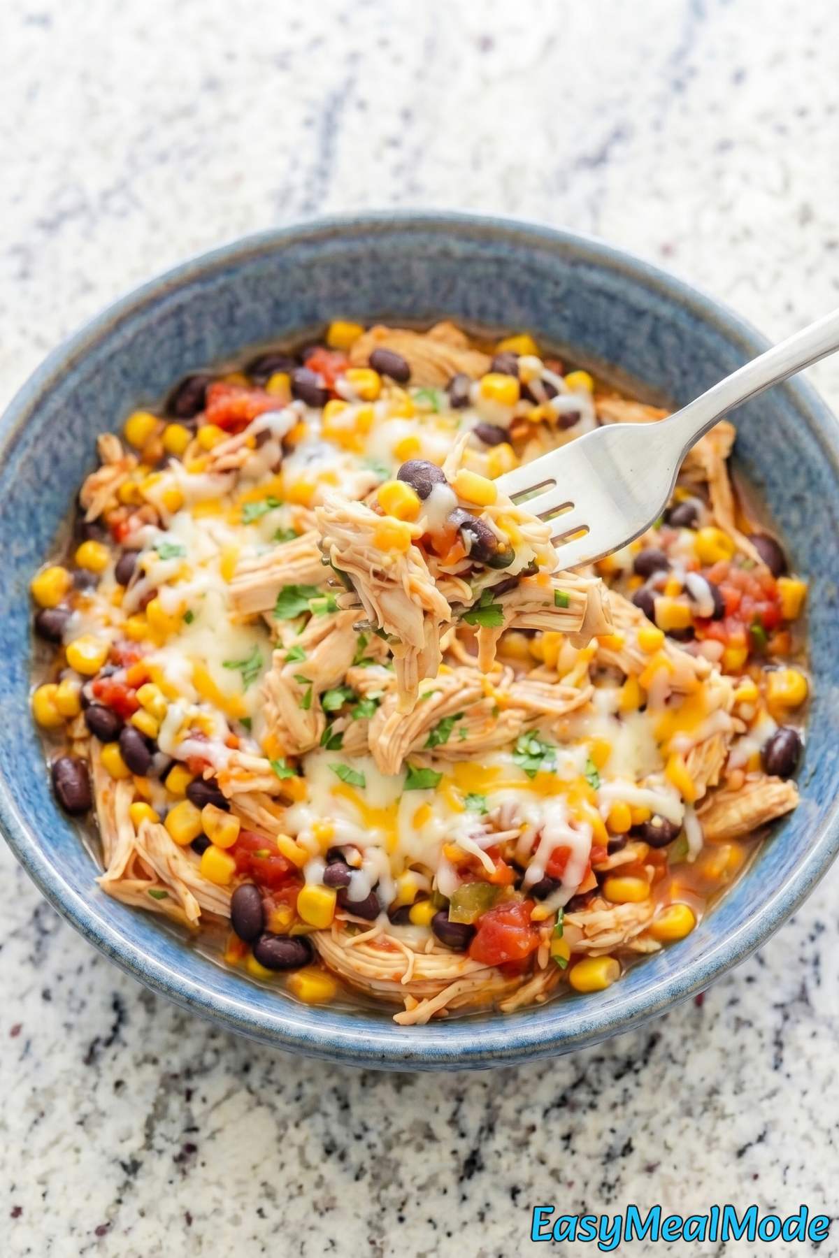 Zesty Instant Pot salsa chicken bowl