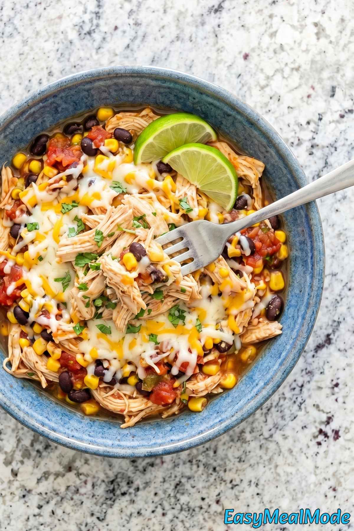 Flavorful Instant Pot salsa chicken