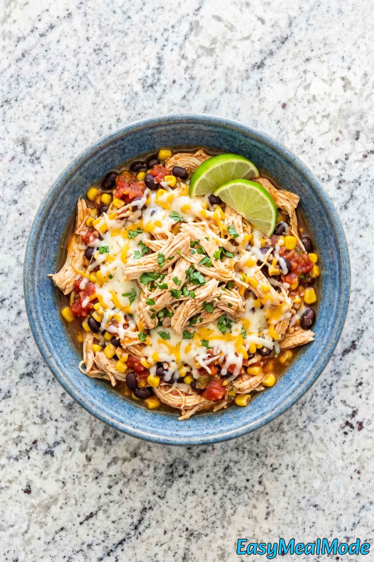 Simple Instant Pot salsa chicken recipe