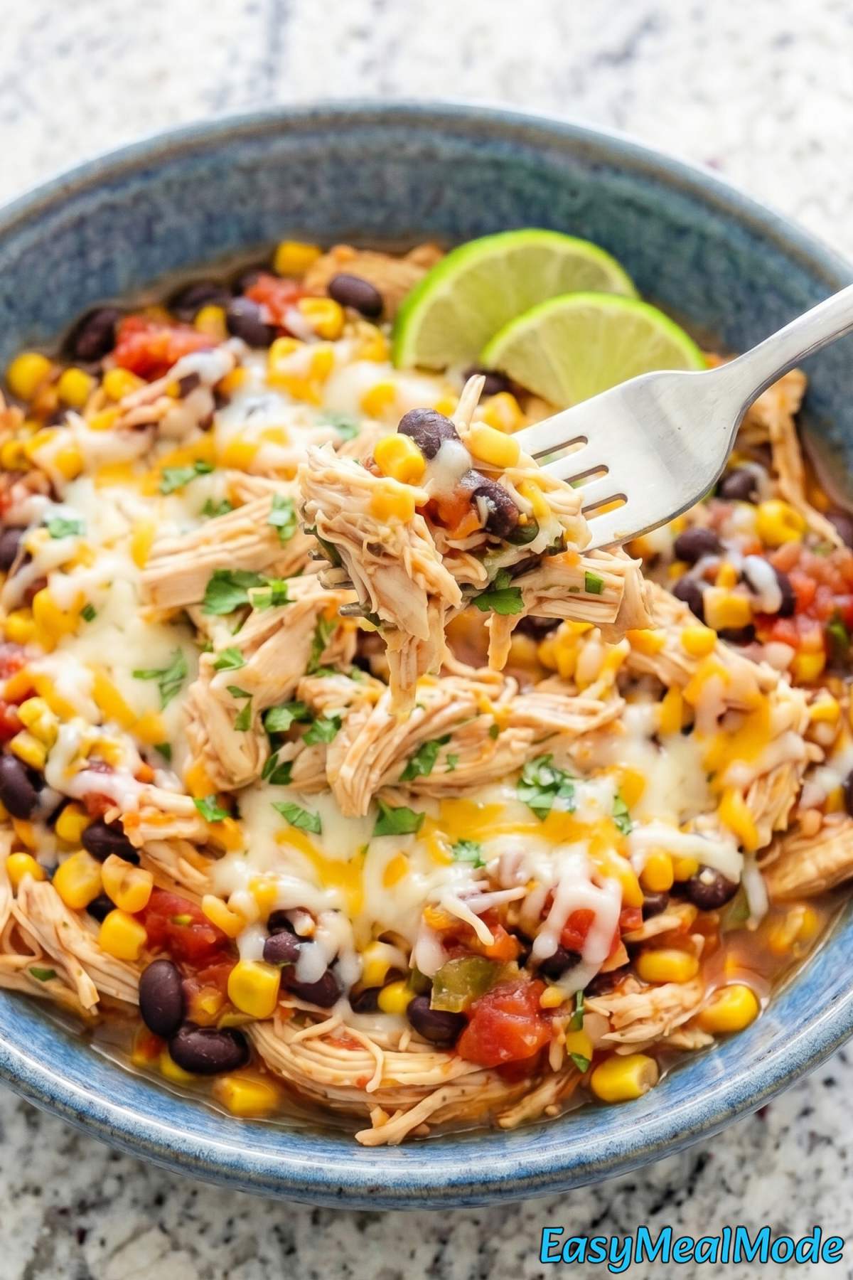 Easy Instant Pot salsa chicken plated