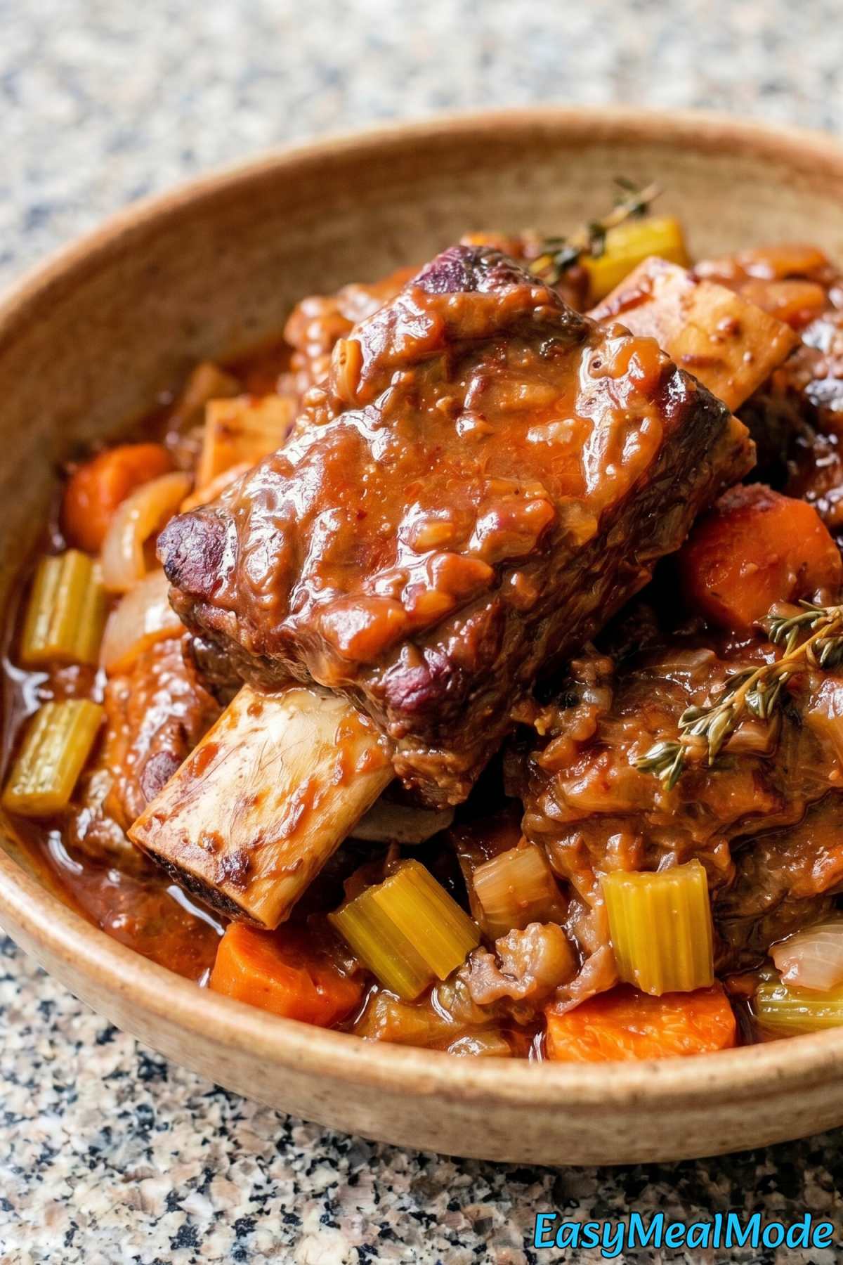 Fall-off-the-bone Instant Pot short ribs