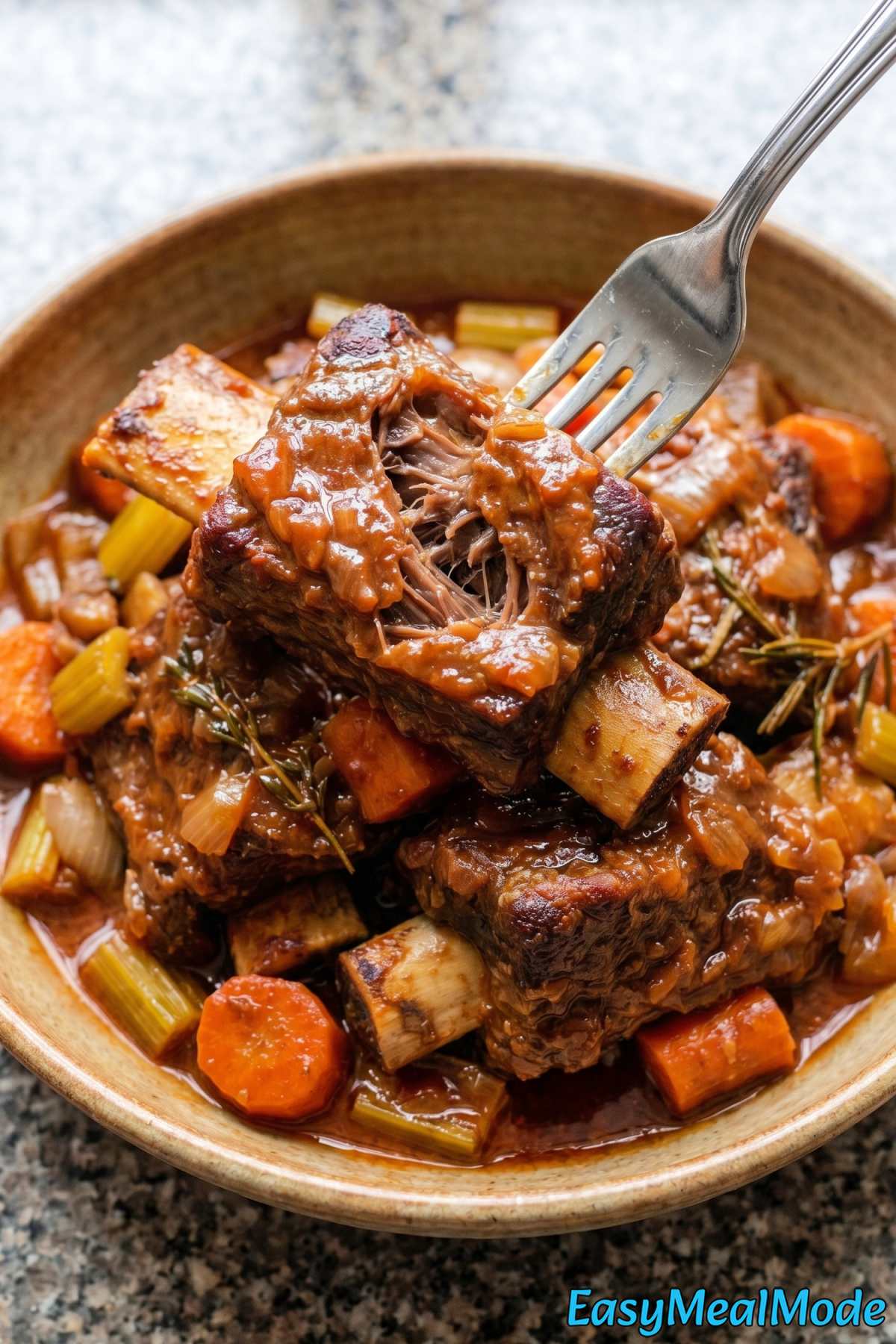 Comforting Instant Pot short ribs served warm