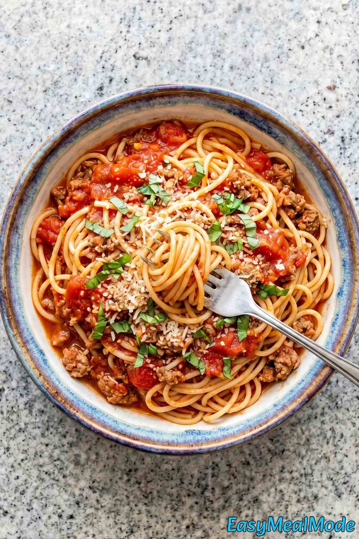 Rich Instant Pot spaghetti on a plate