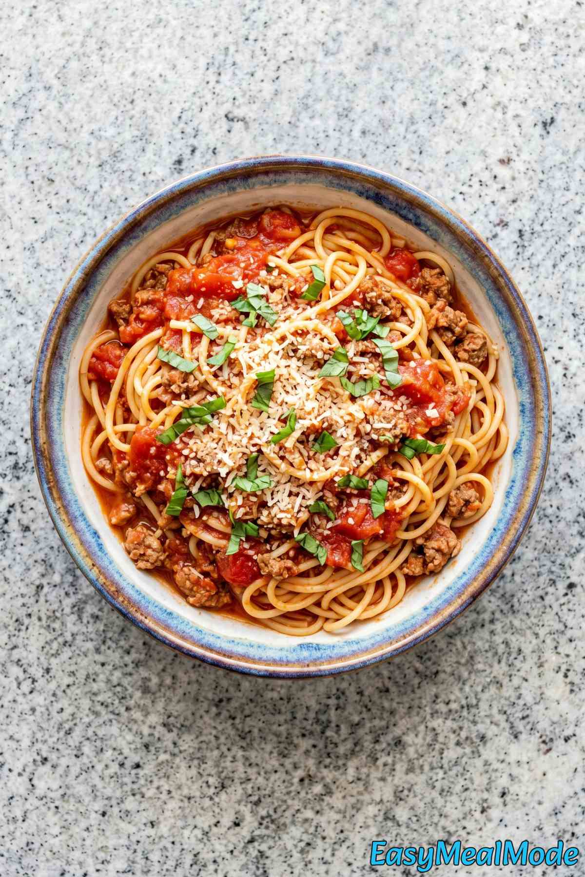 Savory Instant Pot spaghetti served warm