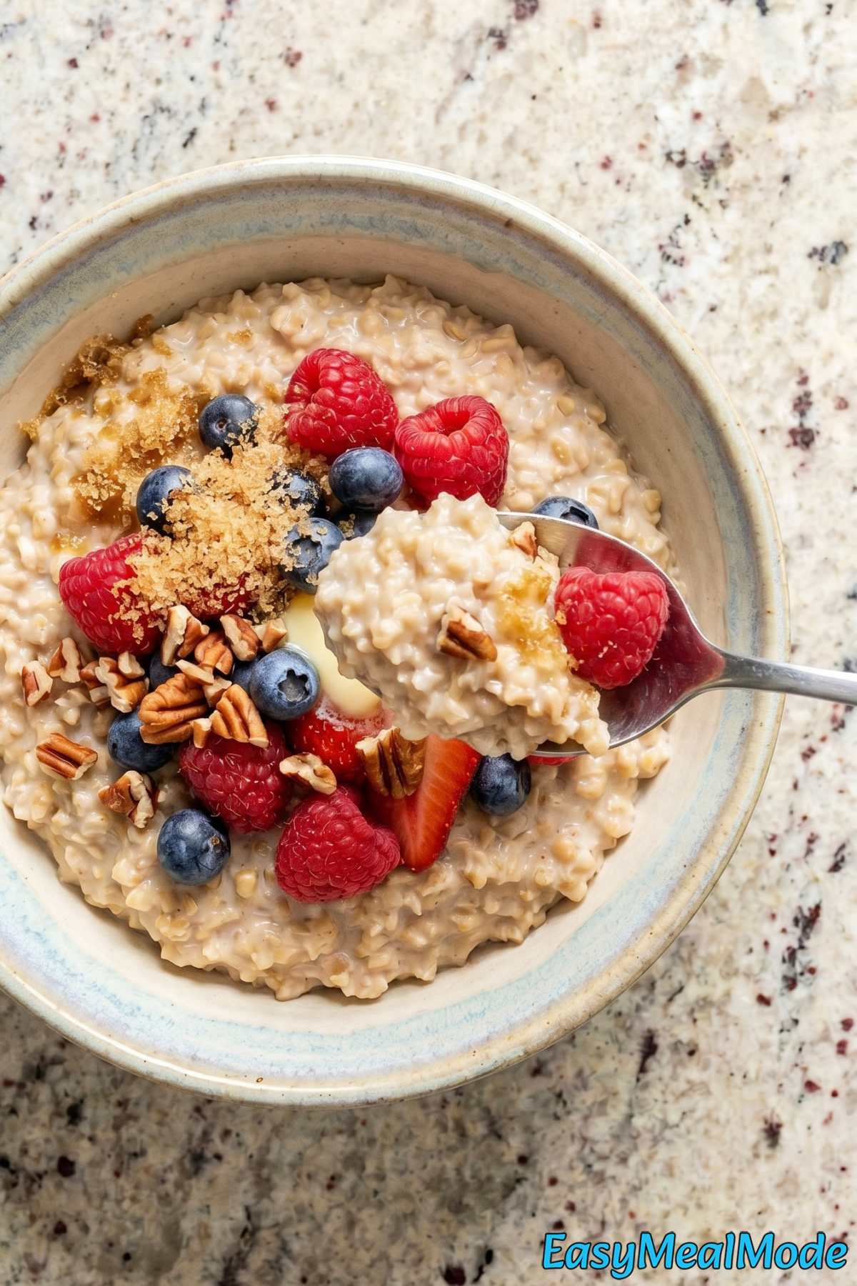 Nourishing Instant Pot steel cut oats