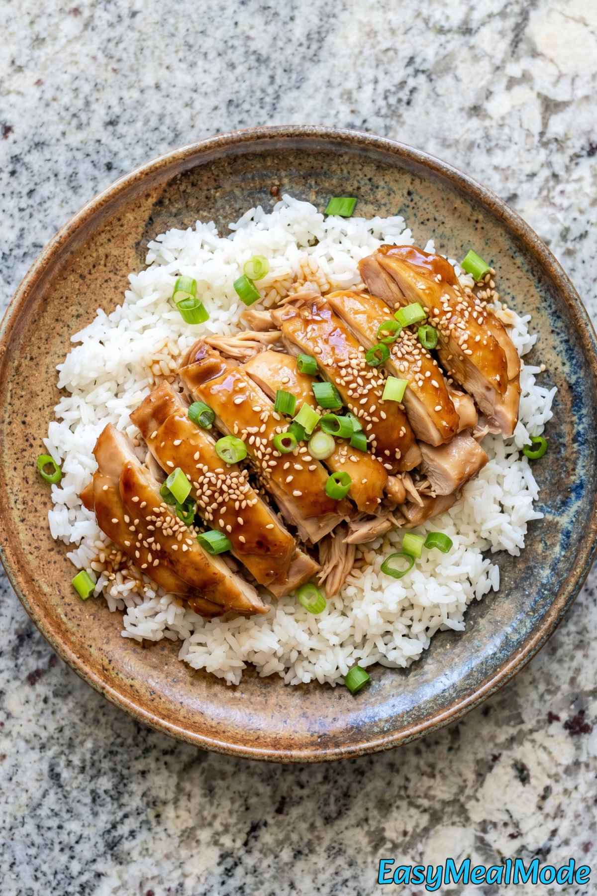 Savory Instant Pot teriyaki chicken