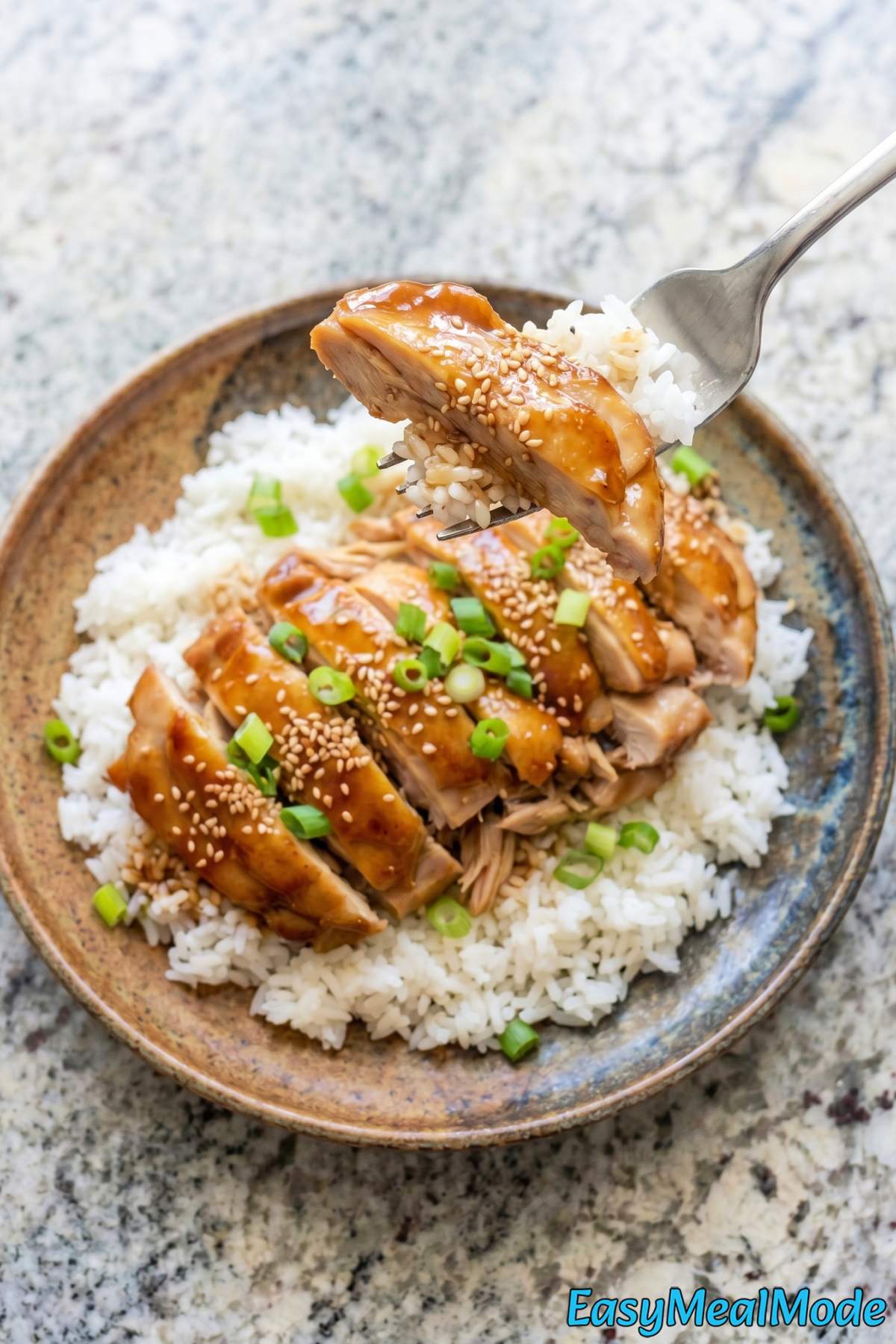 Tender Instant Pot teriyaki chicken
