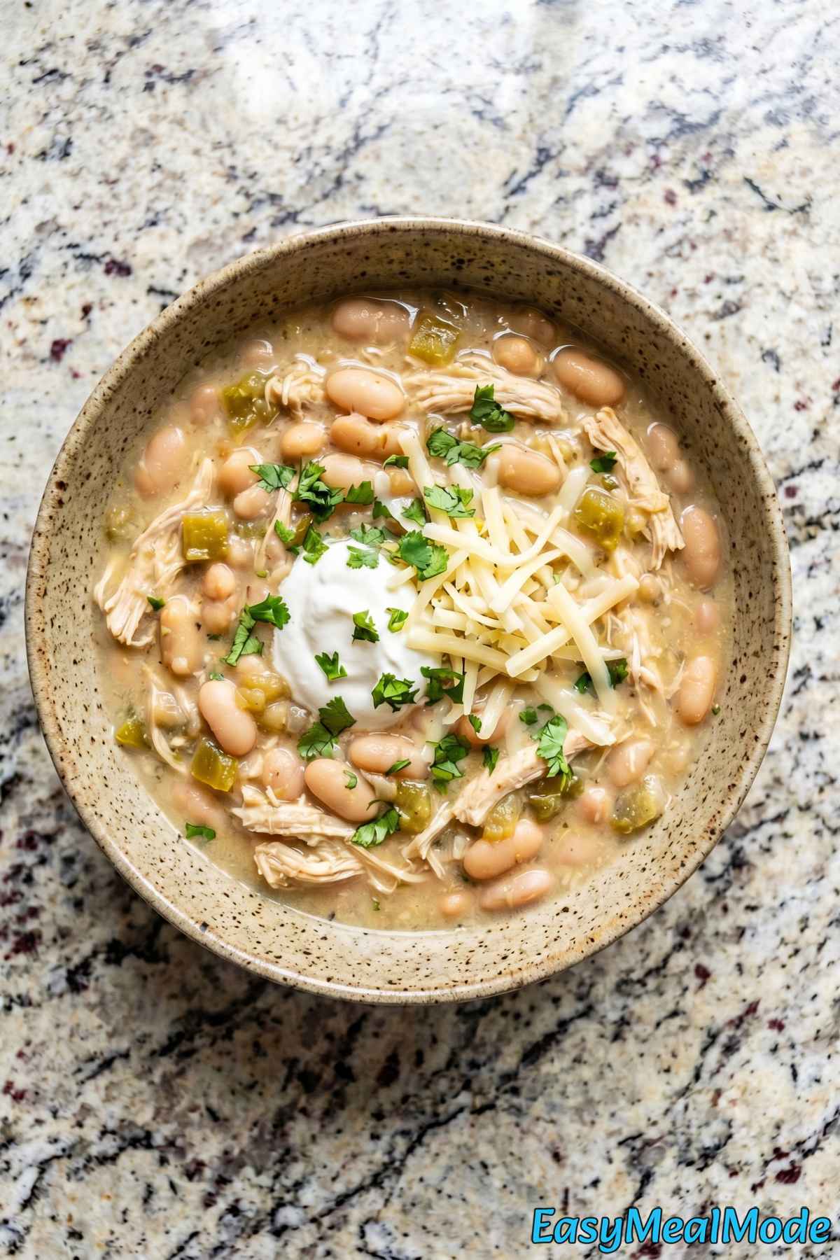 Homemade Instant Pot White Chicken Chili