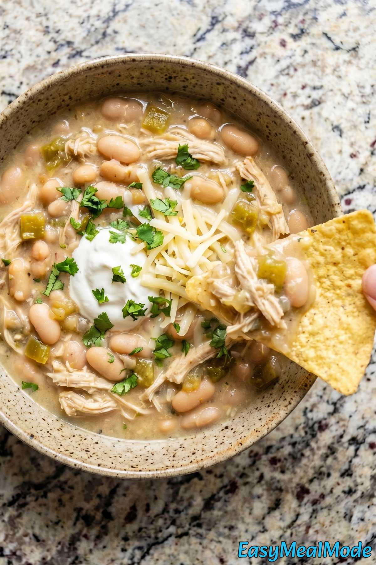 Rich Instant Pot White Chicken Chili