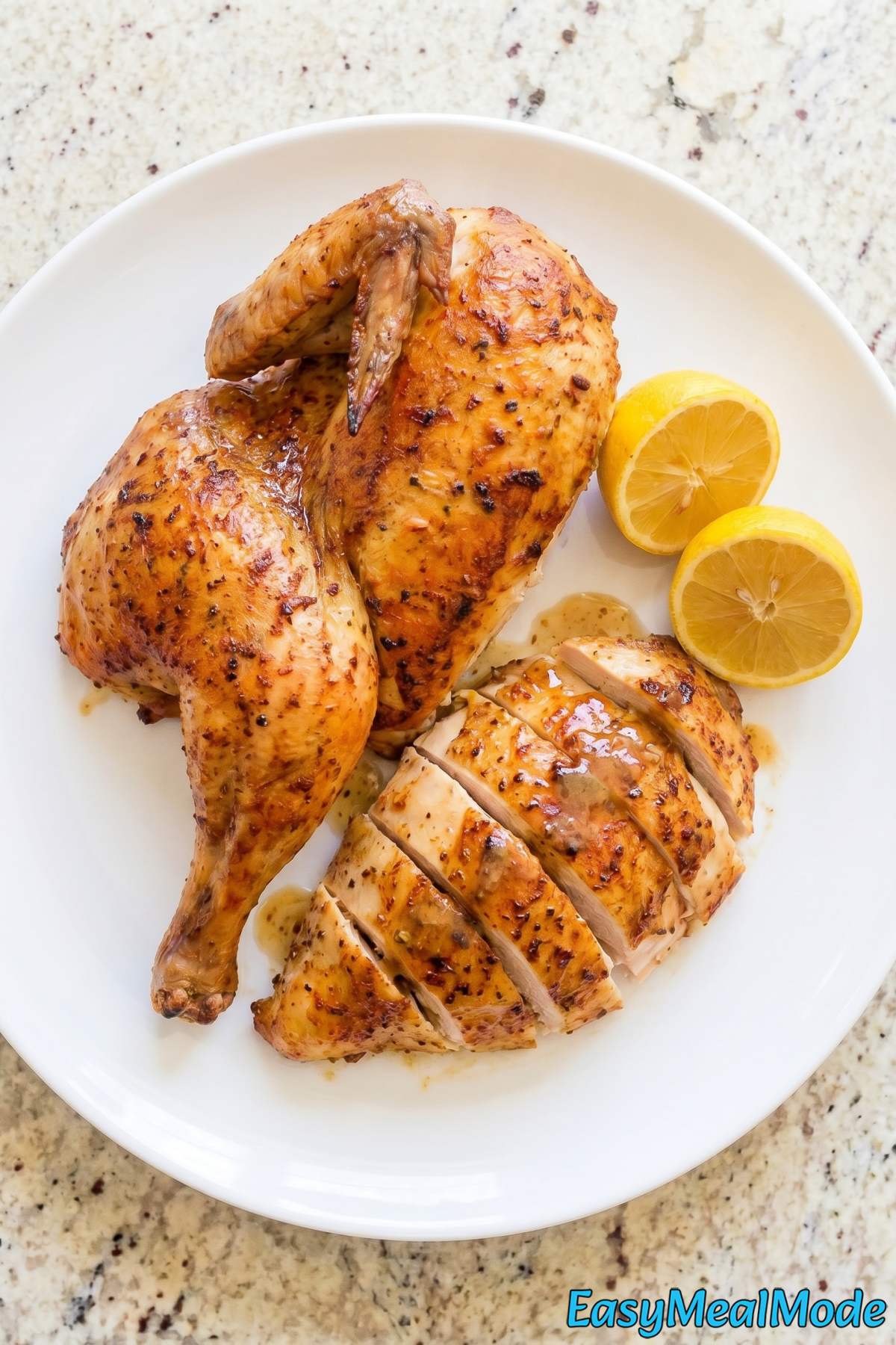 Succulent Instant Pot whole chicken close-up