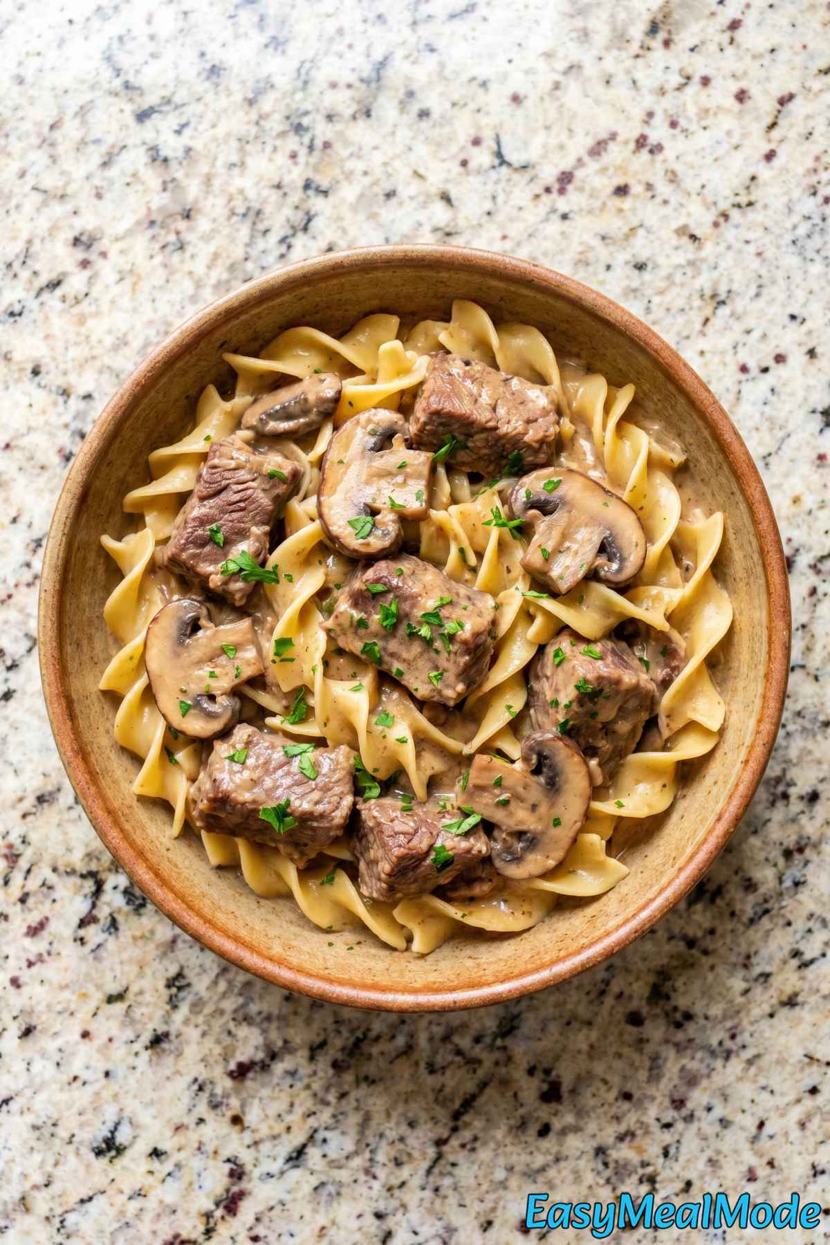 Rich slow cooker beef stroganoff close-up