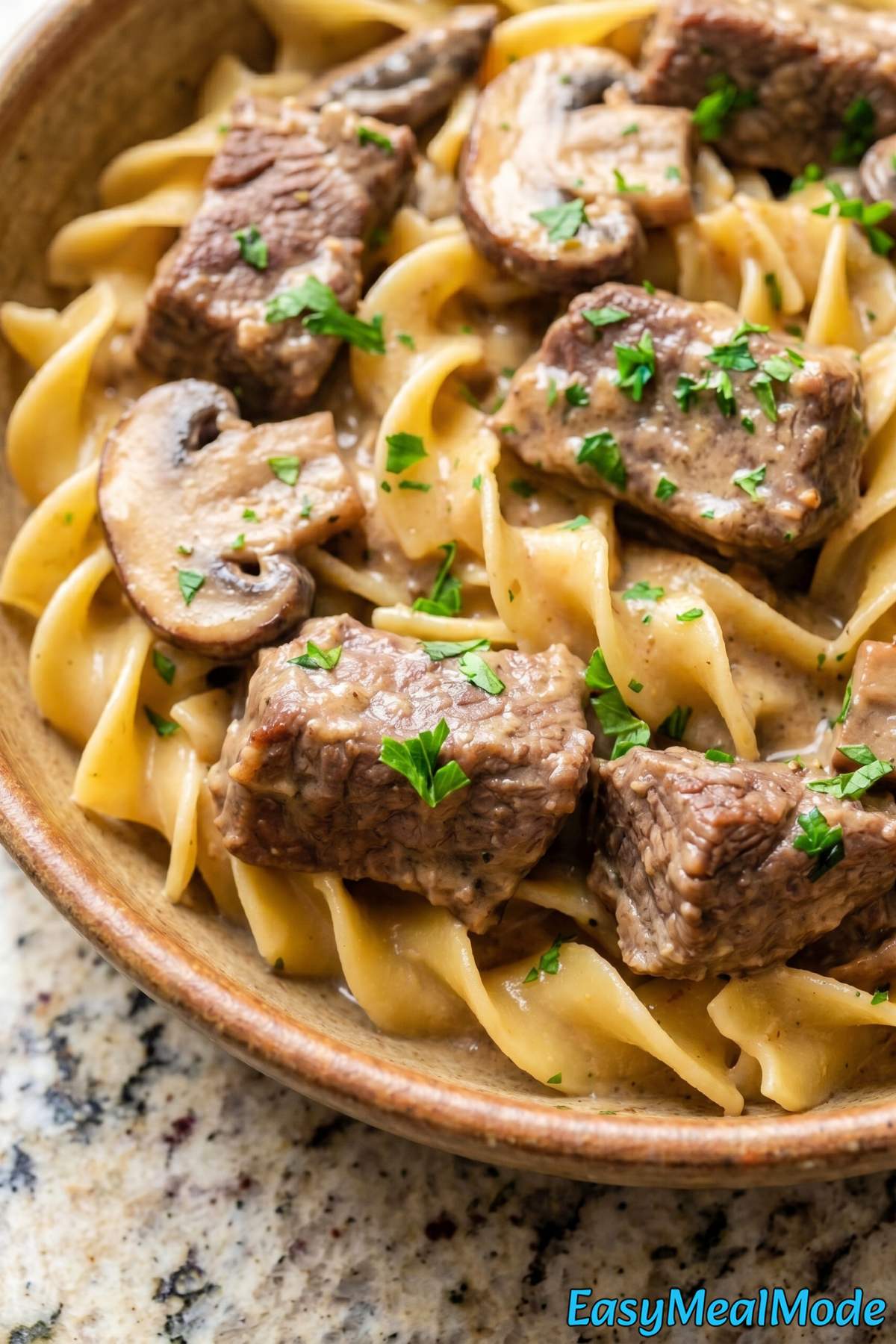 Comforting slow cooker beef stroganoff