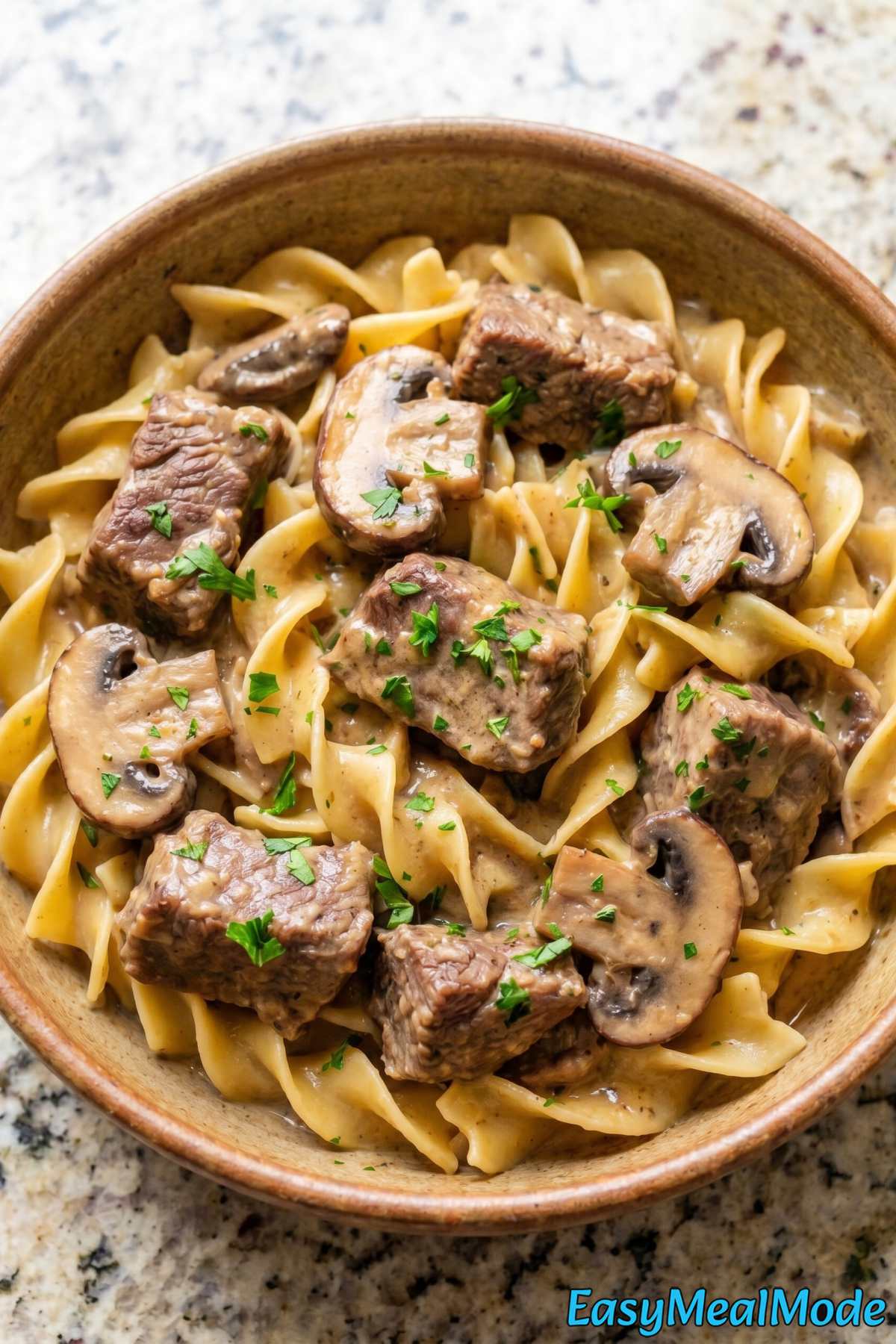 Easy slow cooker beef stroganoff dinner