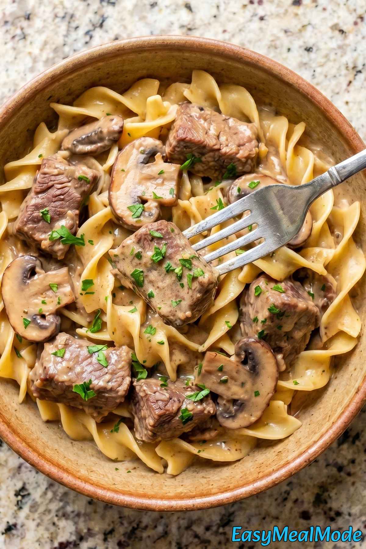 Warm slow cooker beef stroganoff dish