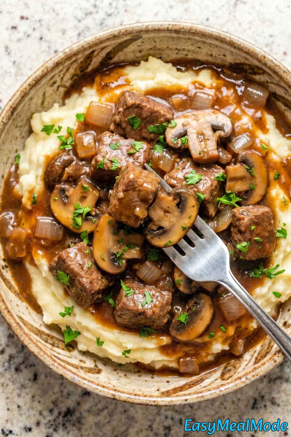 Savory slow cooker beef tips & gravy