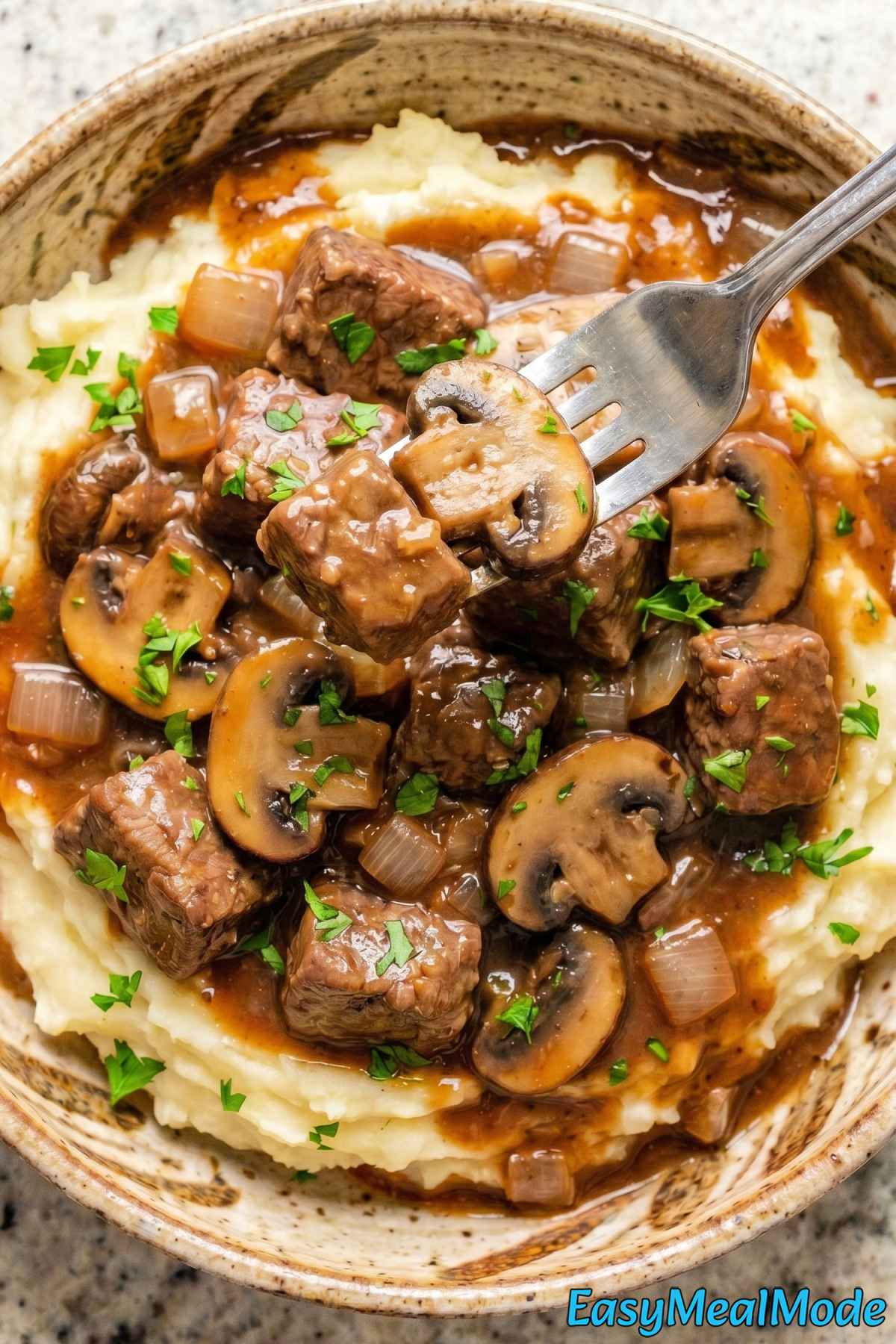 Homemade slow cooker beef tips & gravy