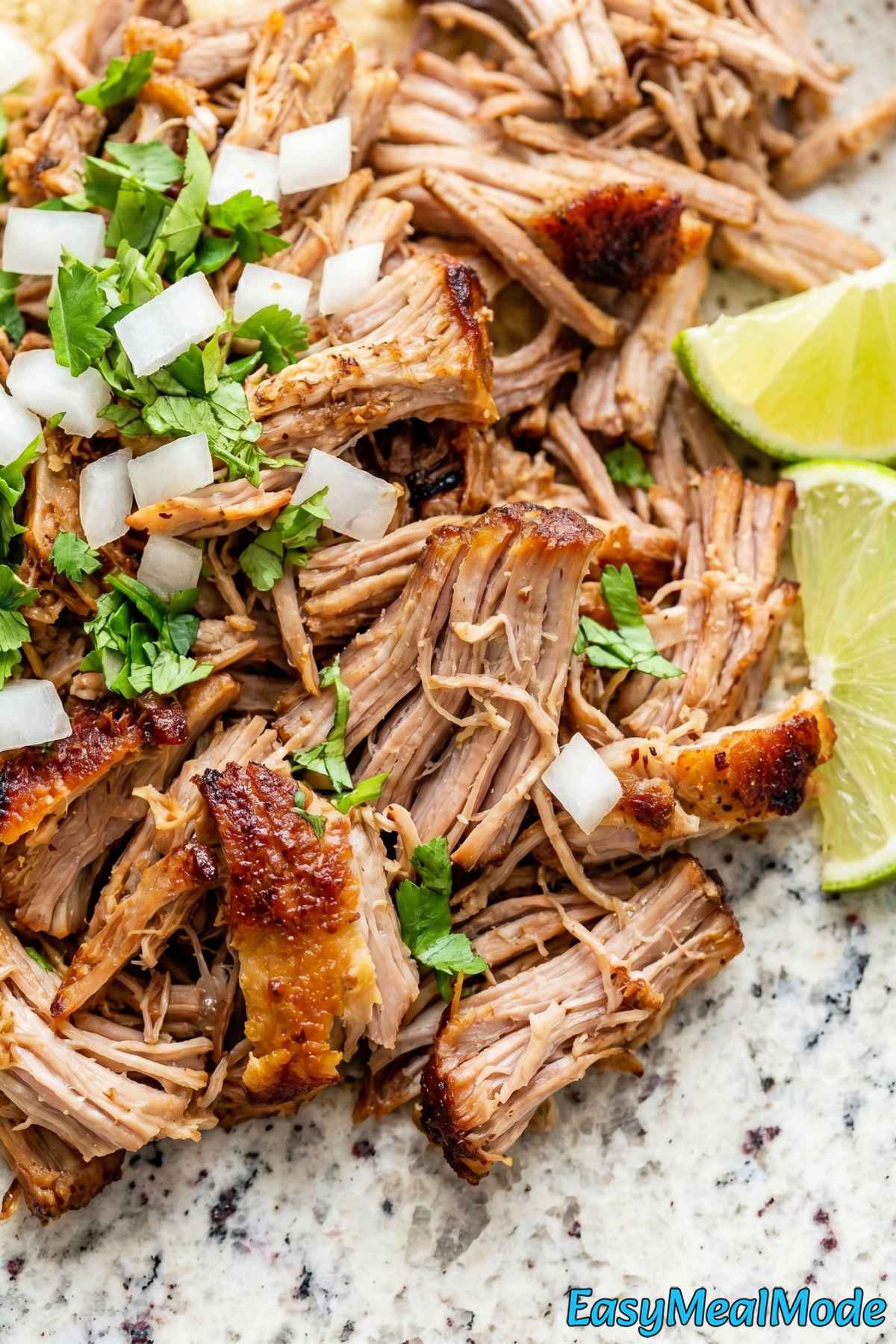 Flavorful slow cooker carnitas close up