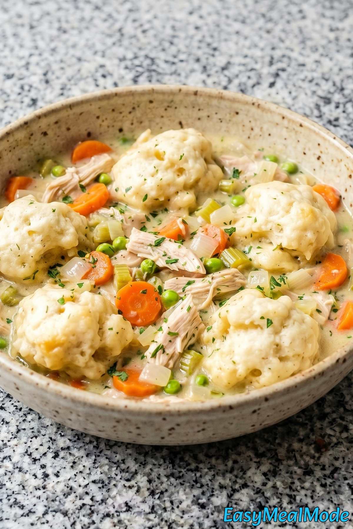Savory slow cooker chicken & dumplings