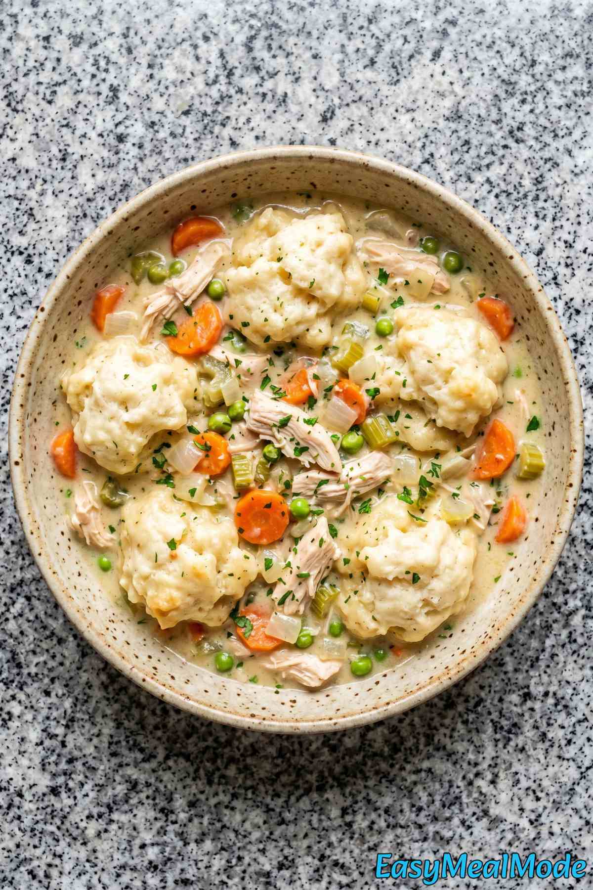 Fluffy slow cooker chicken & dumplings