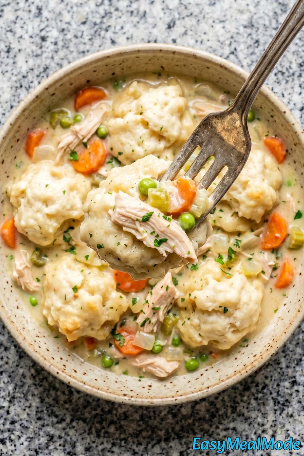 Warm slow cooker chicken and dumplings bowl