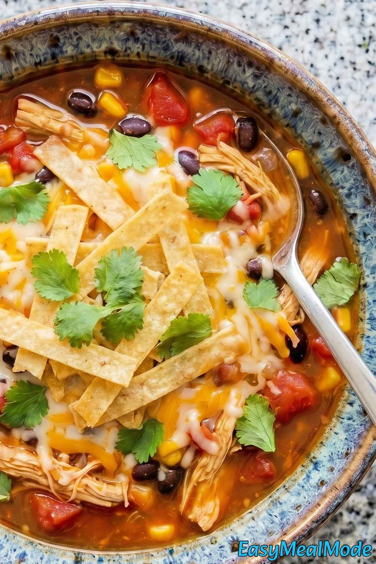 Rich slow cooker chicken enchilada soup