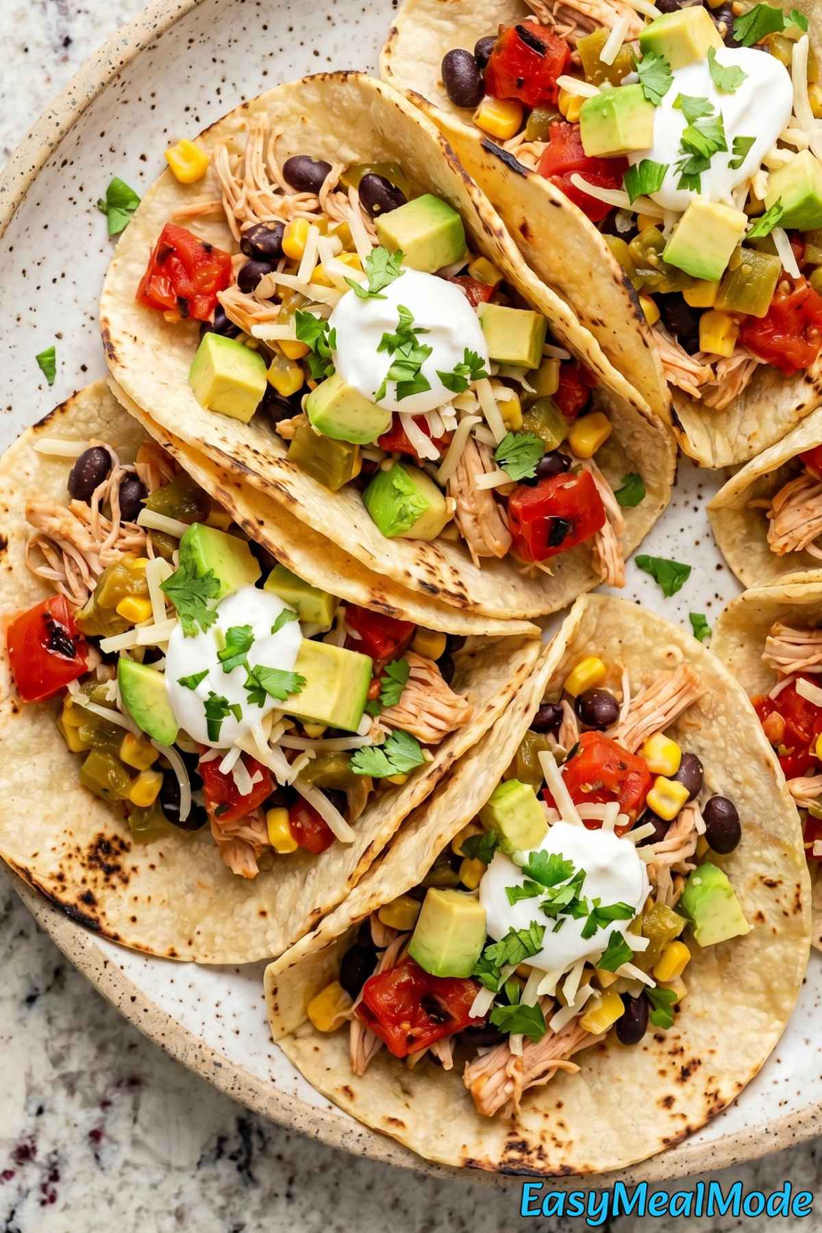 Savory slow cooker chicken tacos ready to eat