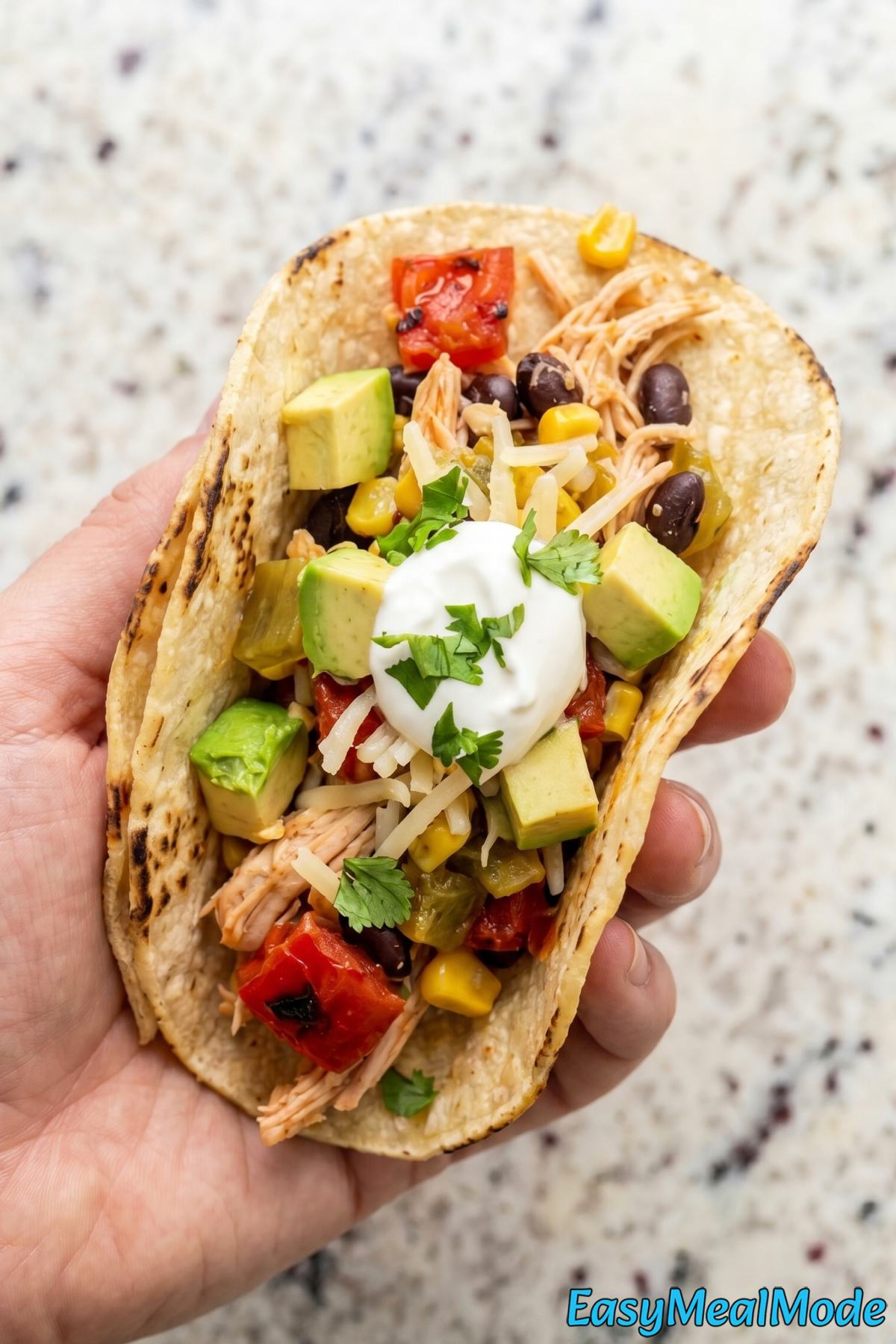 Hearty slow cooker chicken tacos with salsa