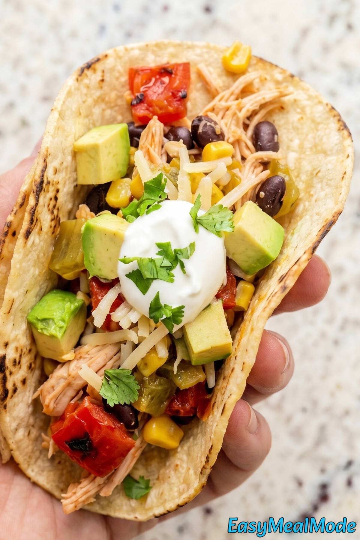 Flavorful slow cooker chicken tacos served