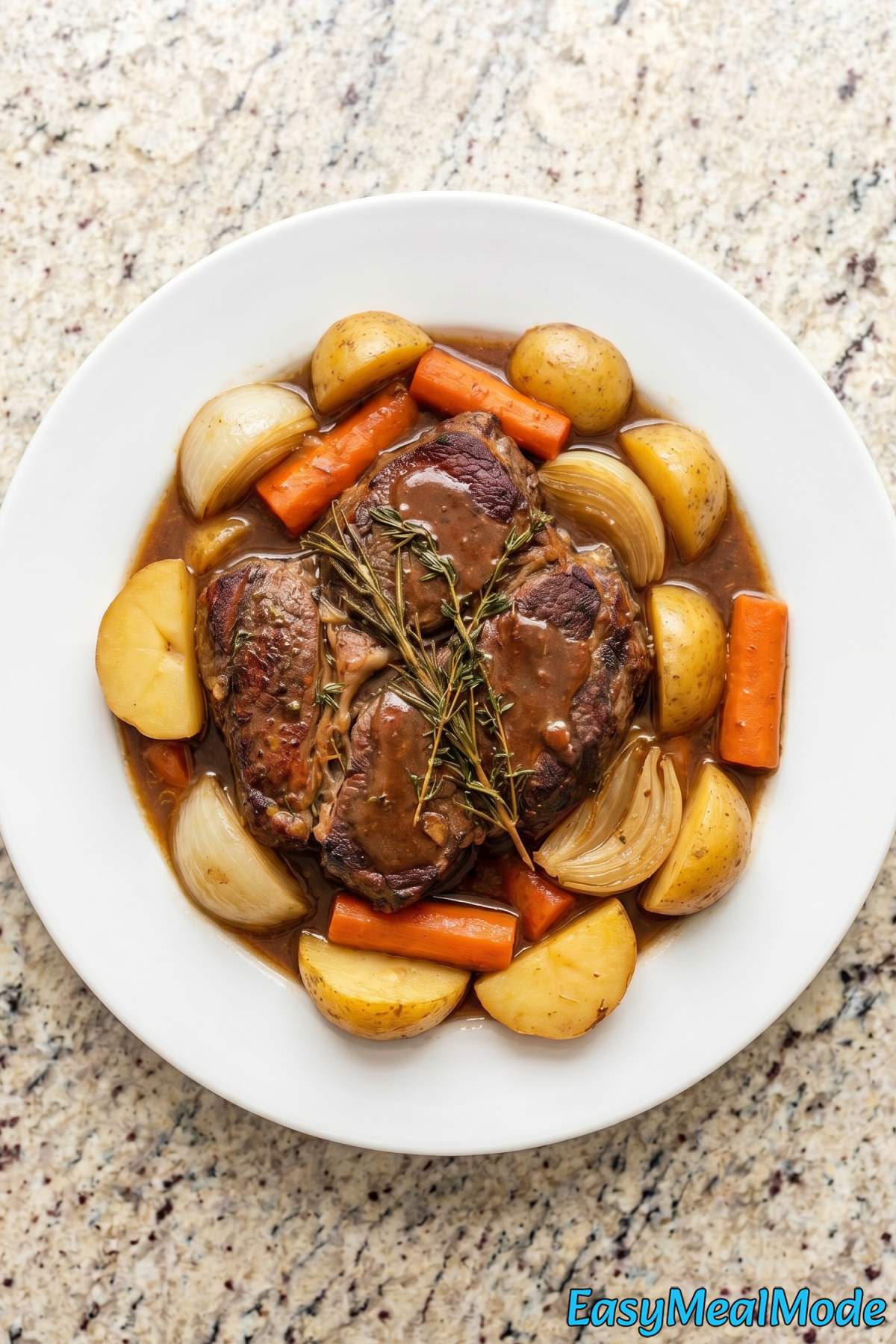 Rich slow cooker classic pot roast