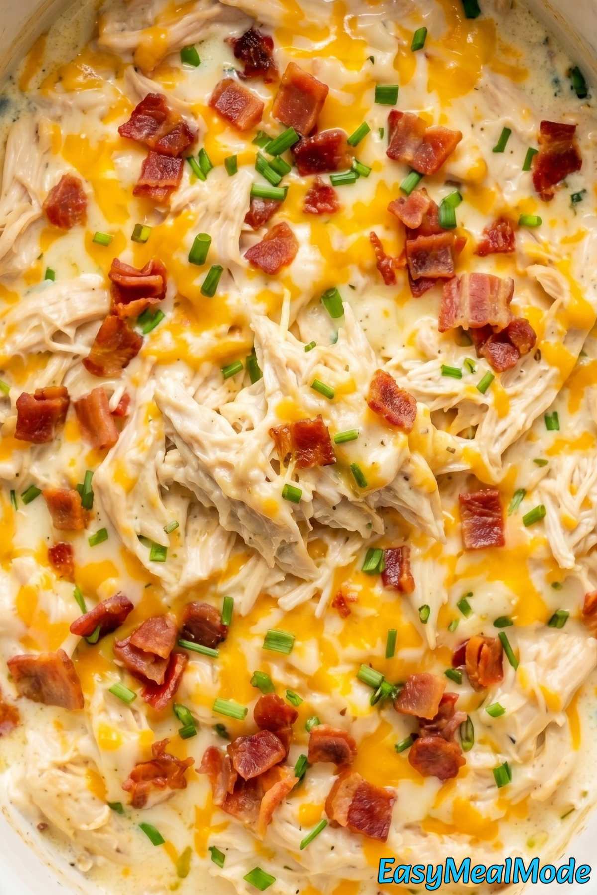 Savory slow cooker creamy ranch chicken