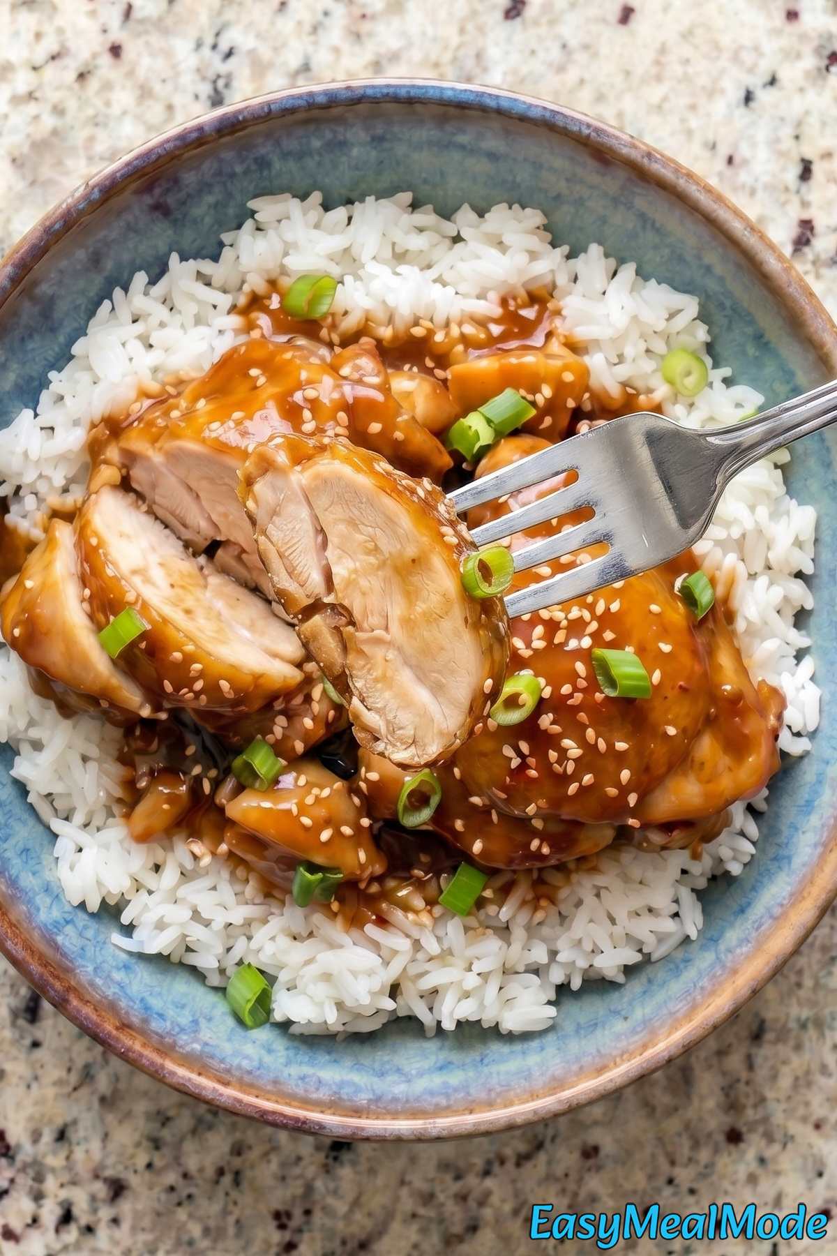 Rich slow cooker honey bourbon chicken plate