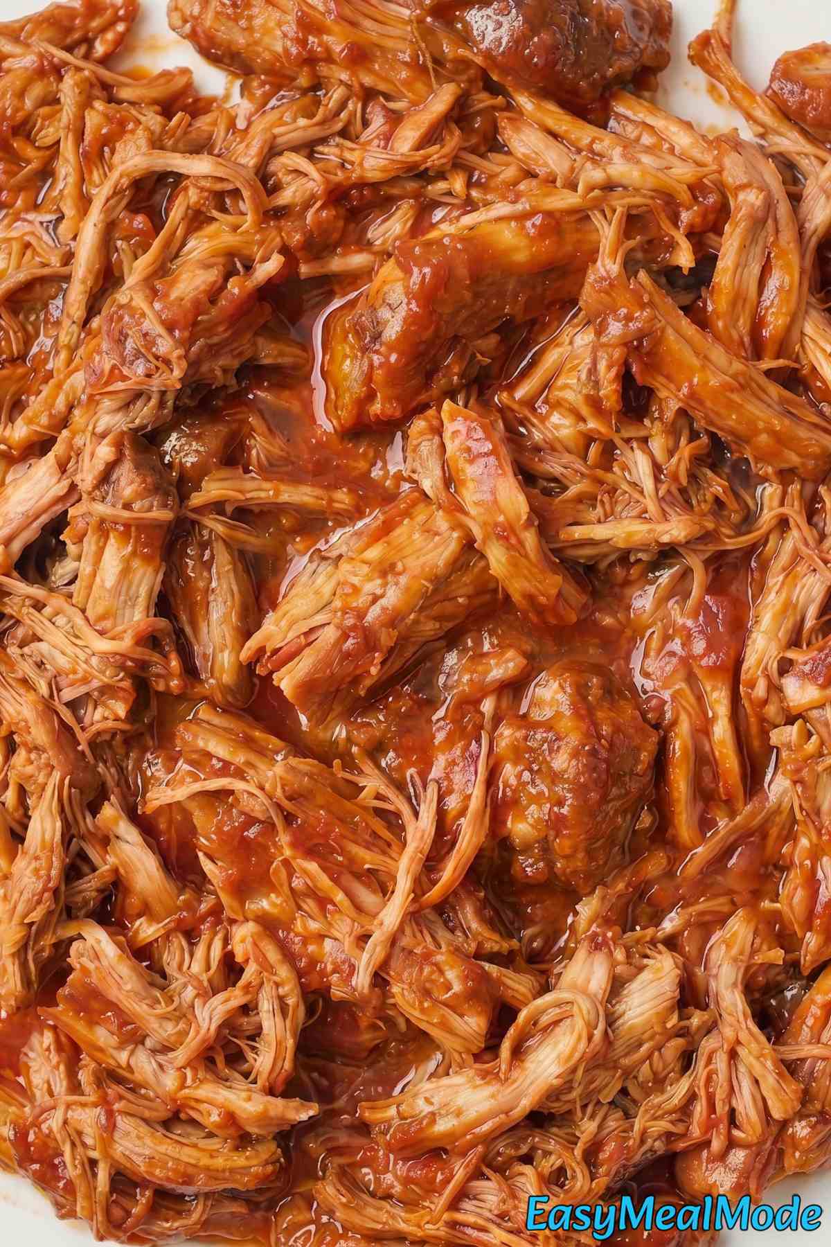 Savory slow cooker pulled pork served warm