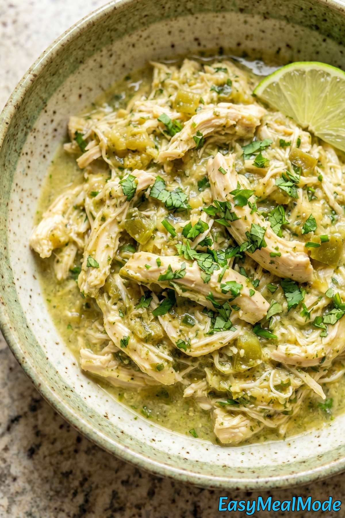Simple slow cooker salsa verde chicken