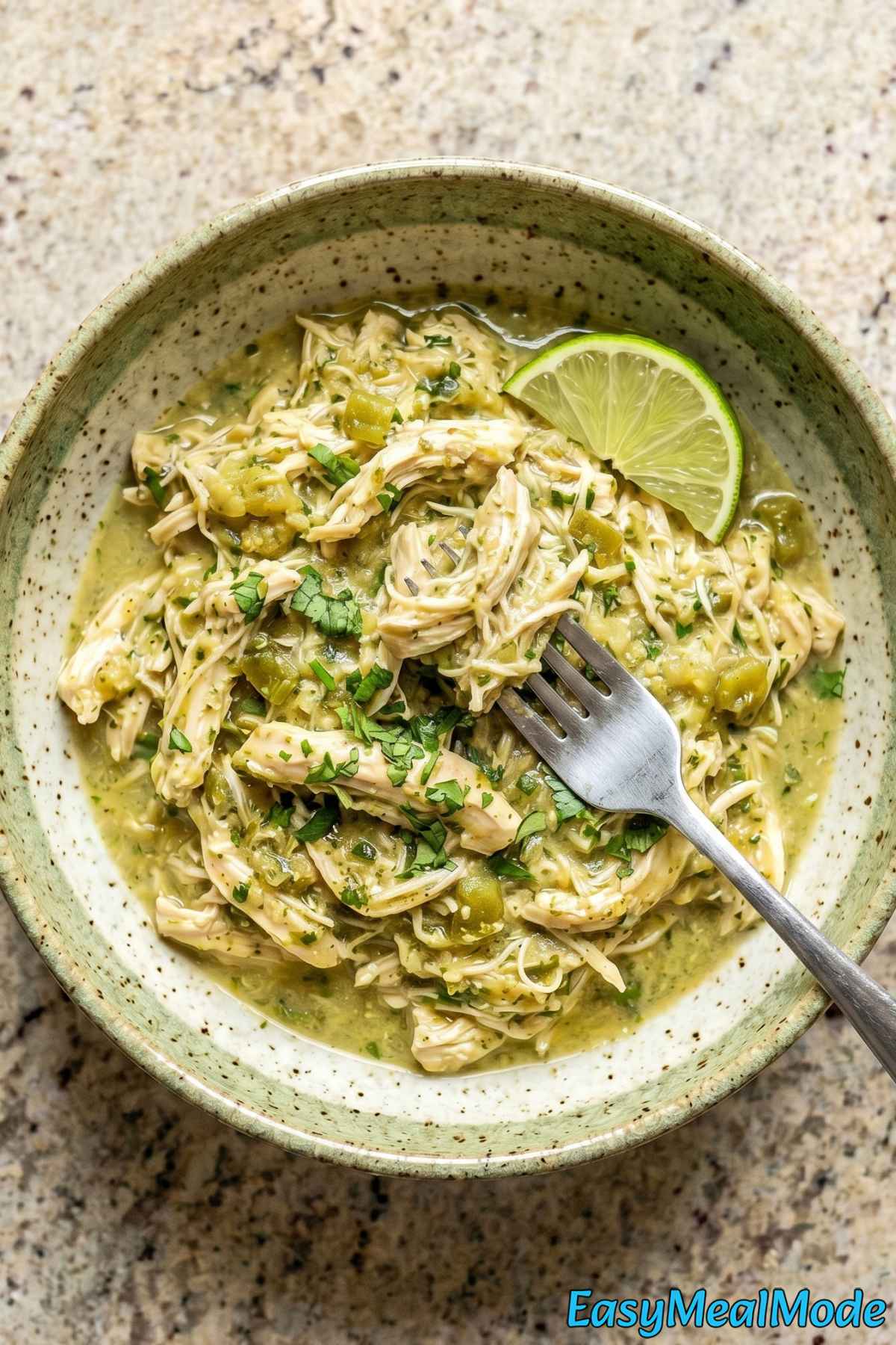 Comforting slow cooker salsa verde chicken