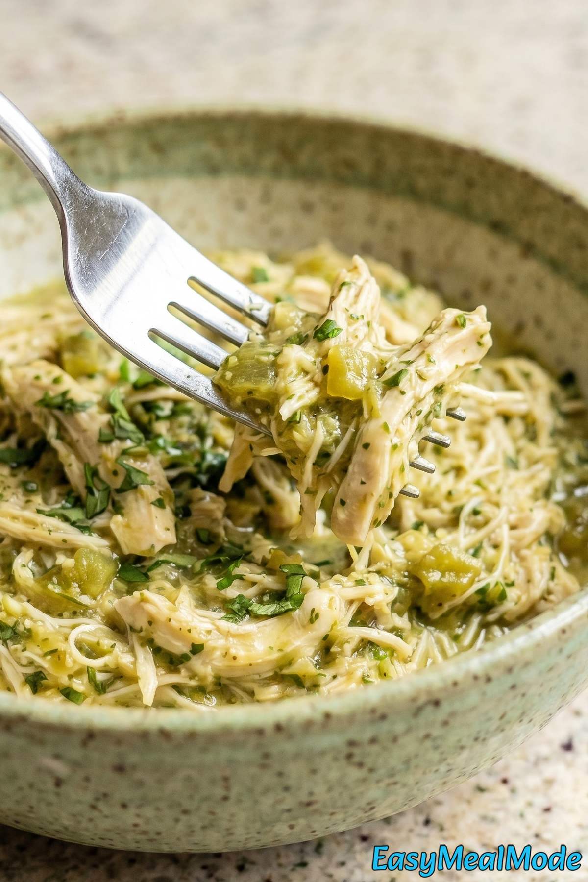 Zesty slow cooker salsa verde chicken