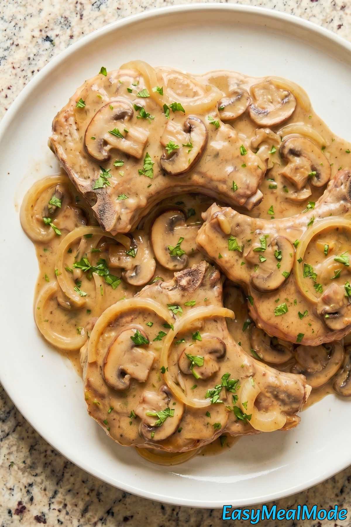 Comforting slow cooker smothered pork chops