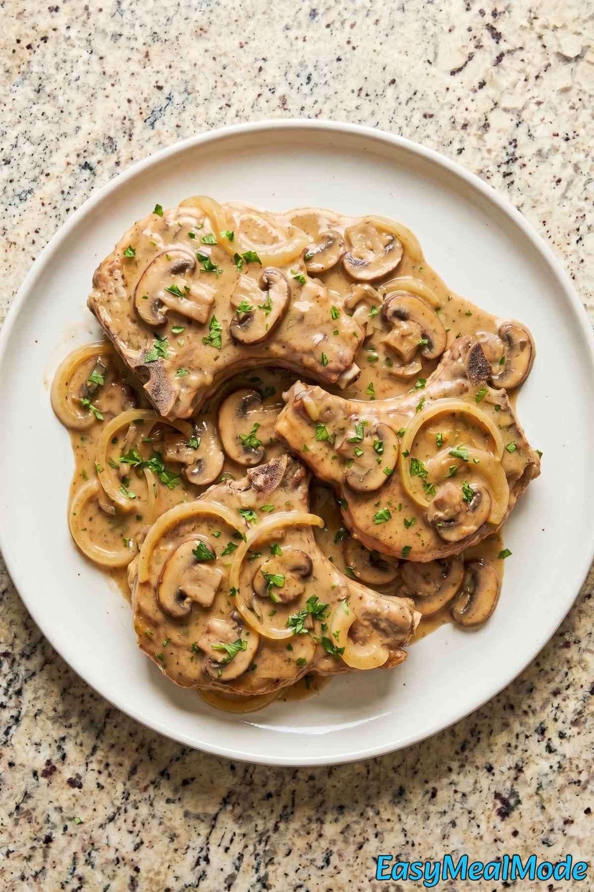 Easy slow cooker smothered pork chops